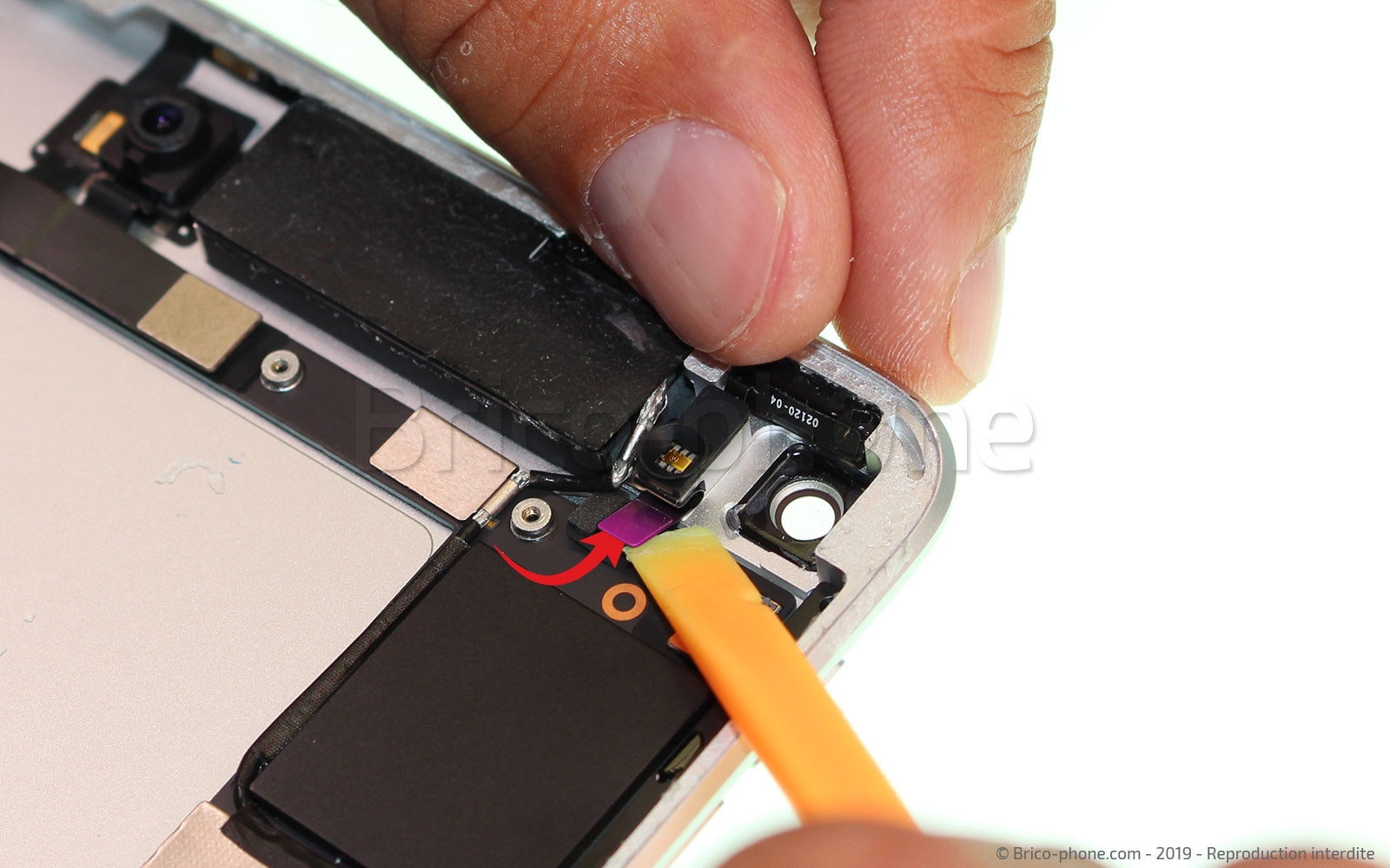 Démontage complet sur iPad Mini 5 photo 1