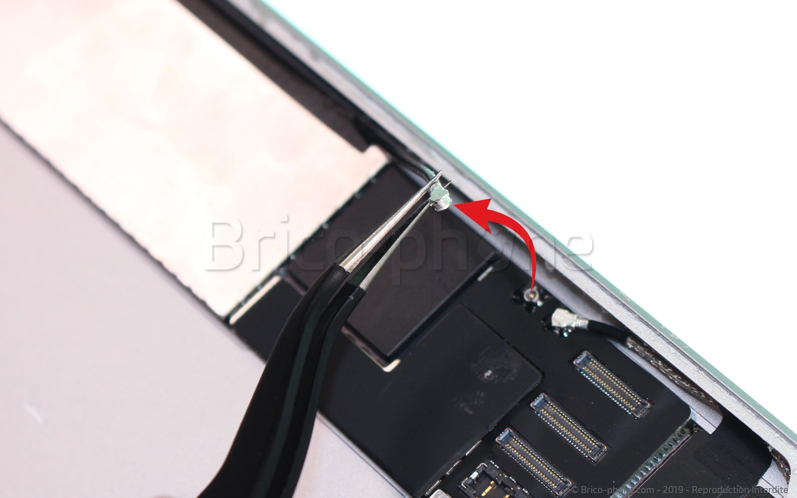 Démontage complet sur iPad Mini 5 photo 1
