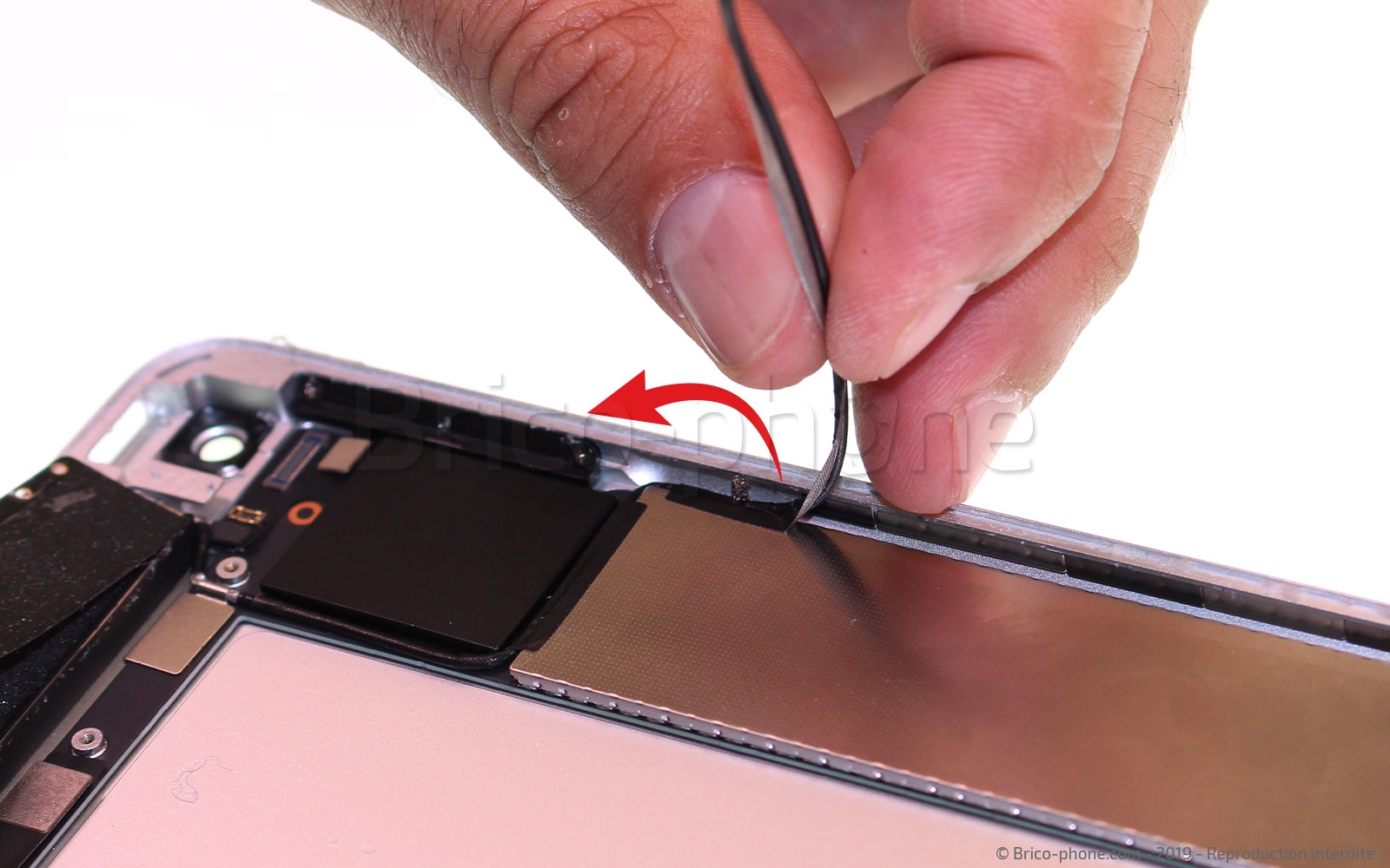 Démontage complet sur iPad Mini 5 photo 2