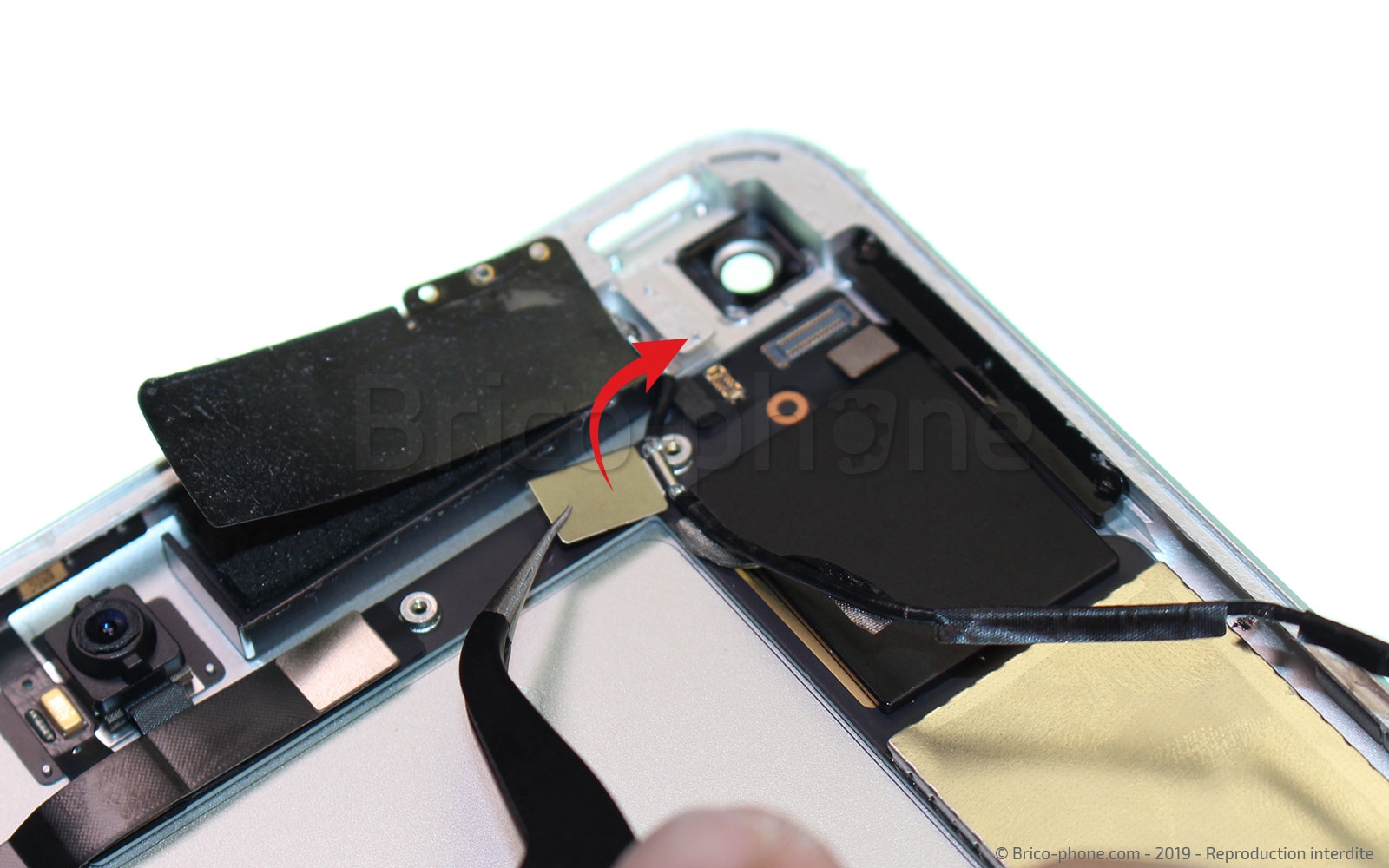 Démontage complet sur iPad Mini 5 photo 4