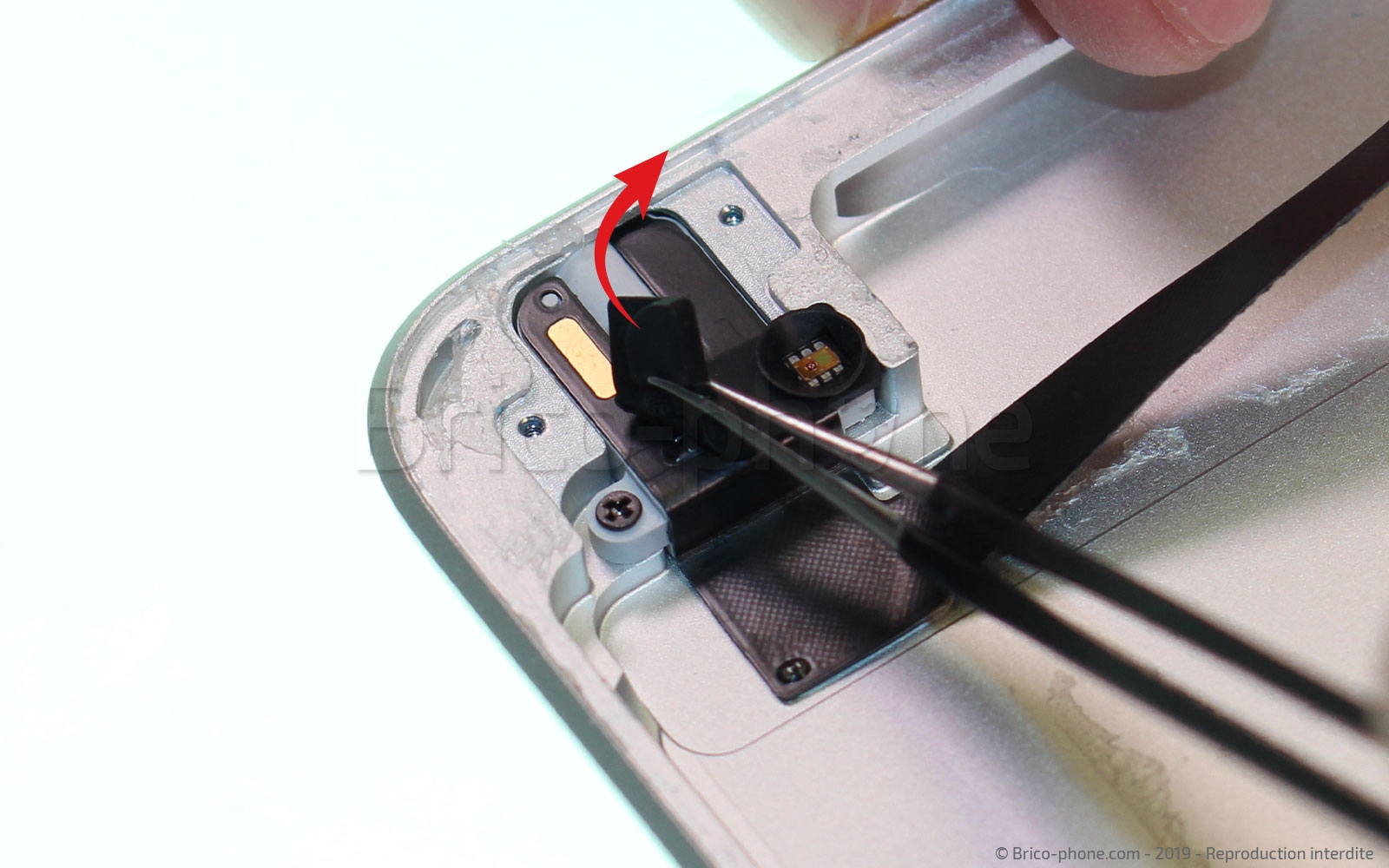 Démontage complet sur iPad Mini 5 photo 2