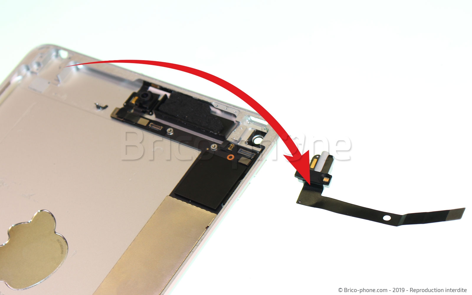 Démontage complet sur iPad Mini 5 photo 3