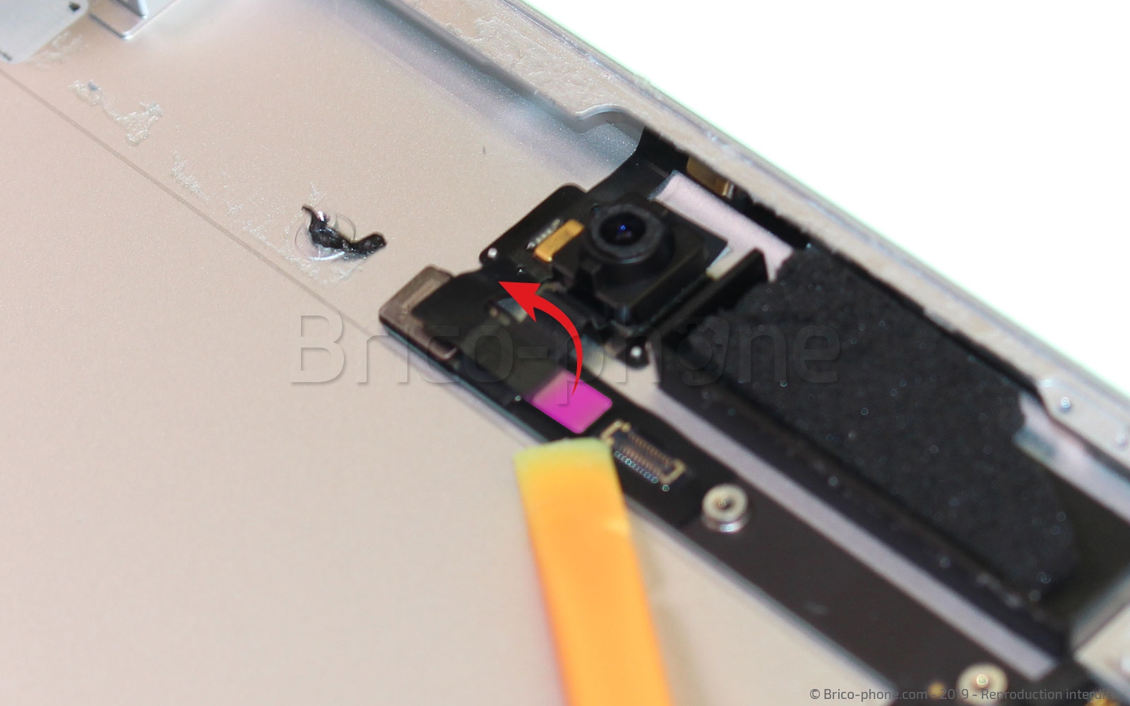 Démontage complet sur iPad Mini 5 photo 1