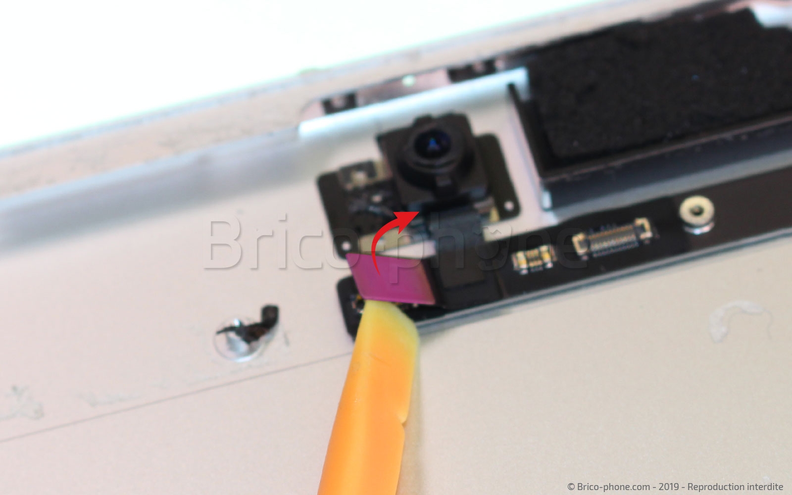 Démontage complet sur iPad Mini 5 photo 1