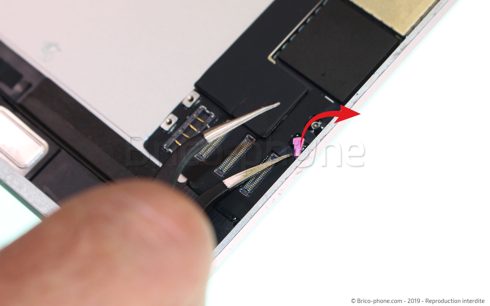 Démontage complet sur iPad Mini 5 photo 2