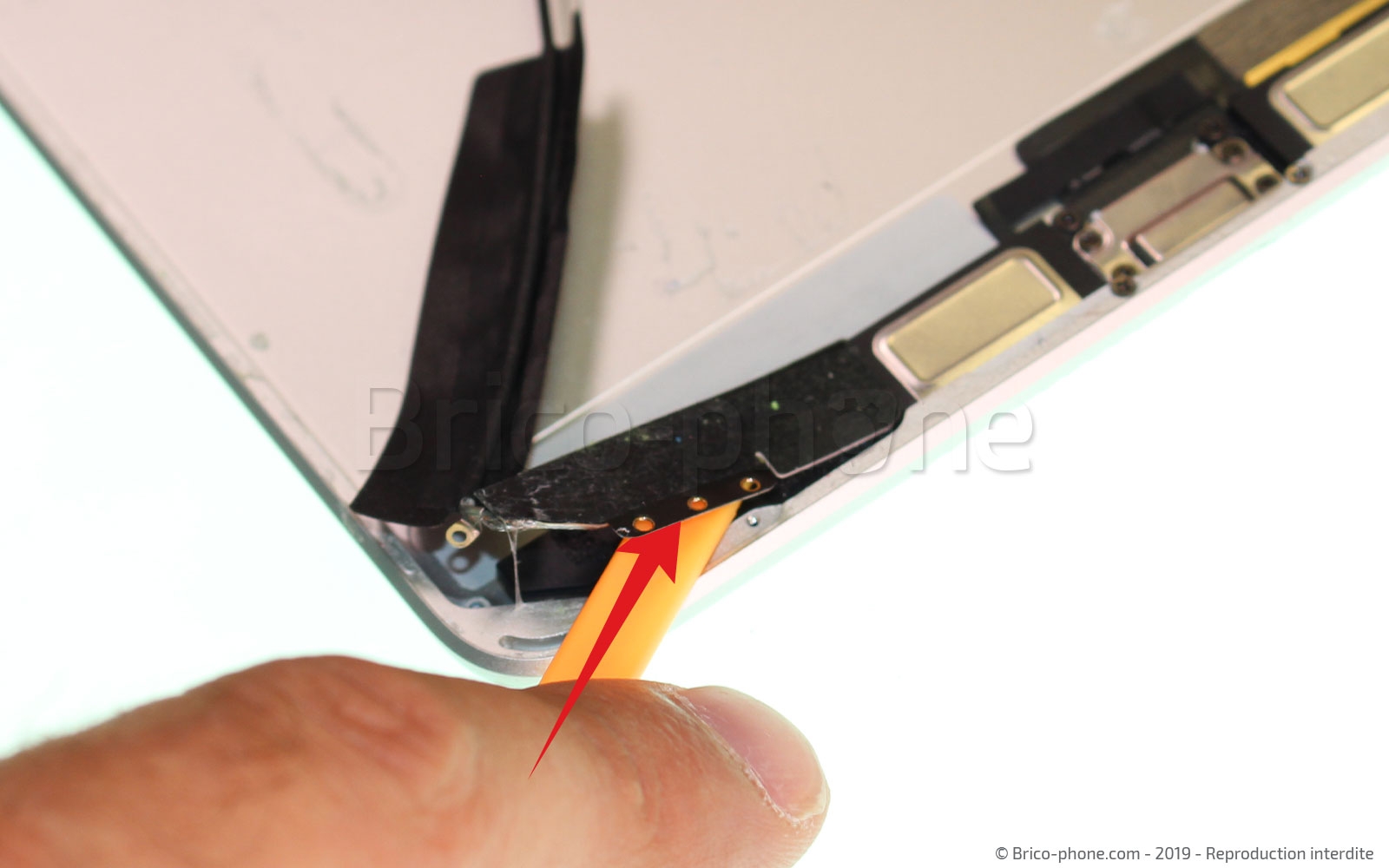 Démontage complet sur iPad Mini 5 photo 3