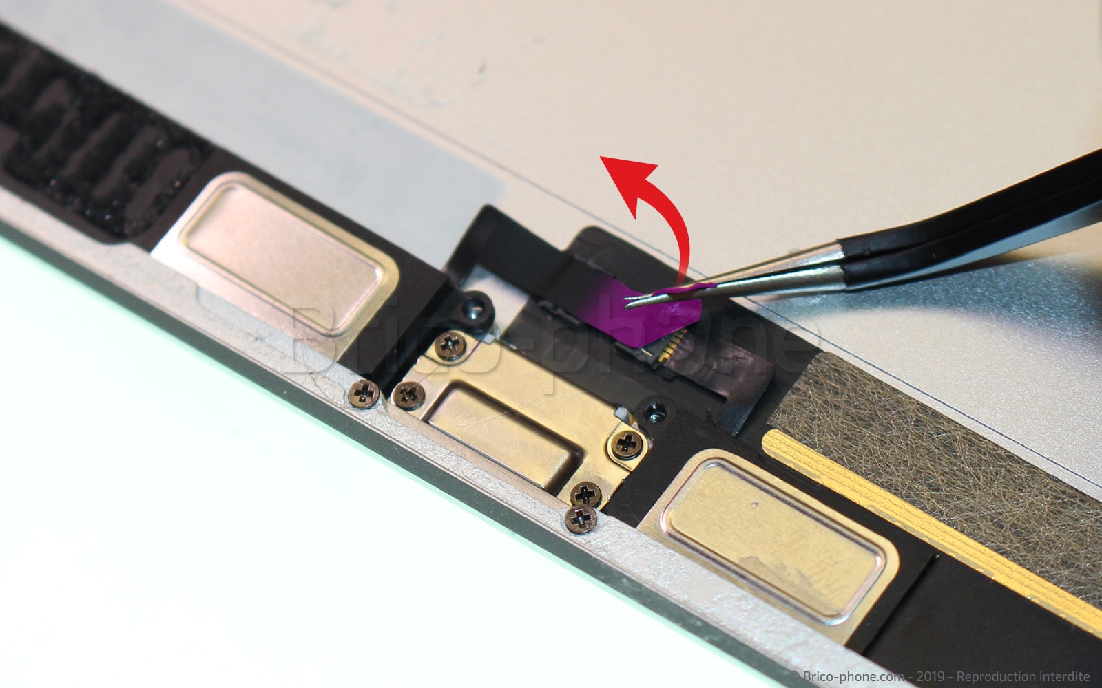 Démontage complet sur iPad Mini 5 photo 1
