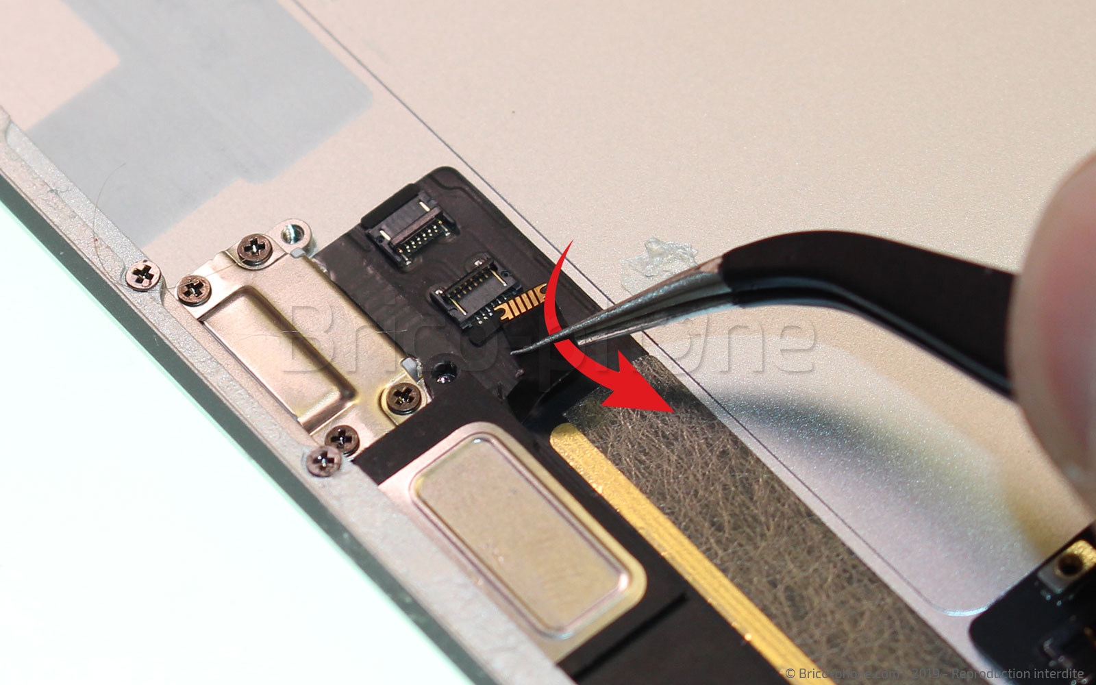 Démontage complet sur iPad Mini 5 photo 2