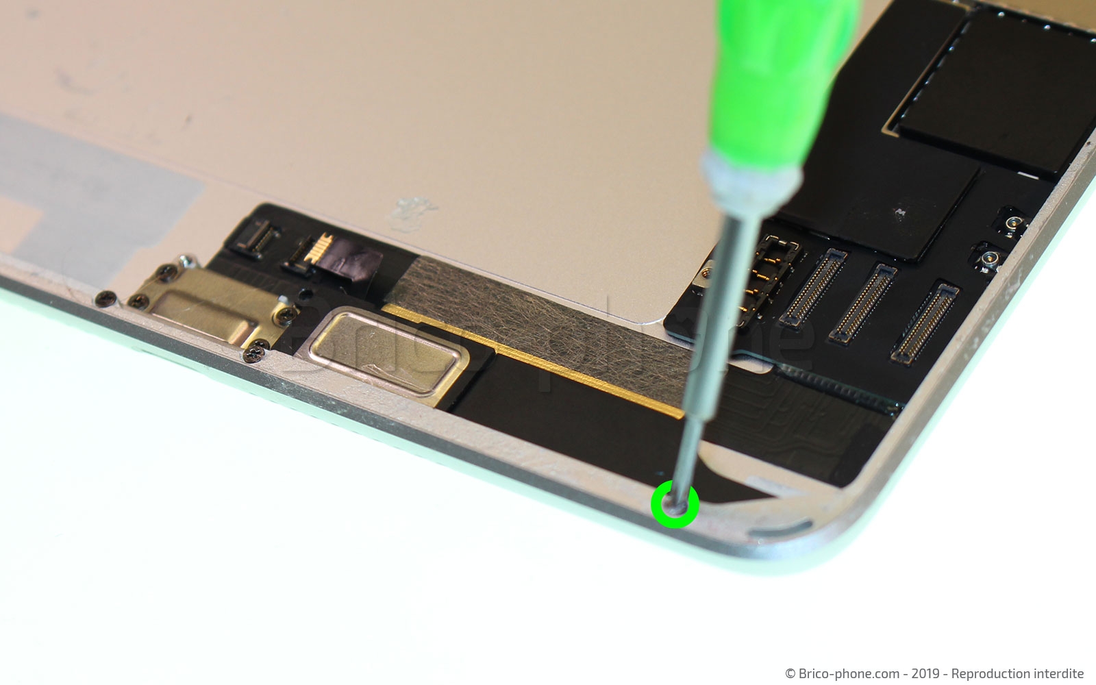 Démontage complet sur iPad Mini 5 photo 2