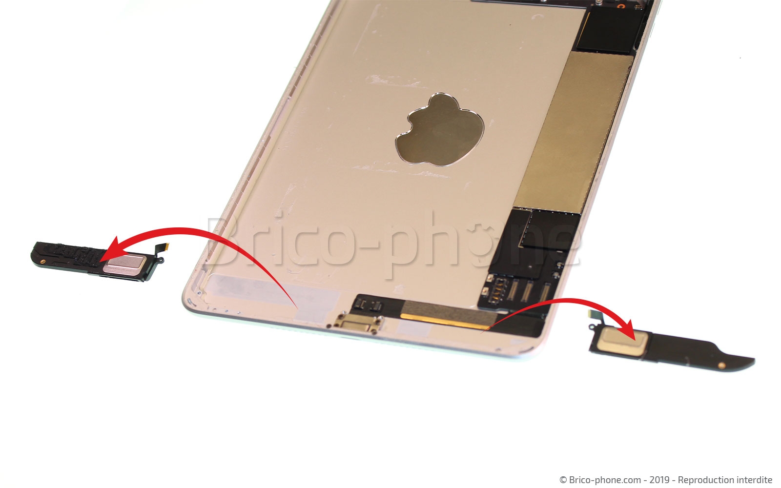 Démontage complet sur iPad Mini 5 photo 4