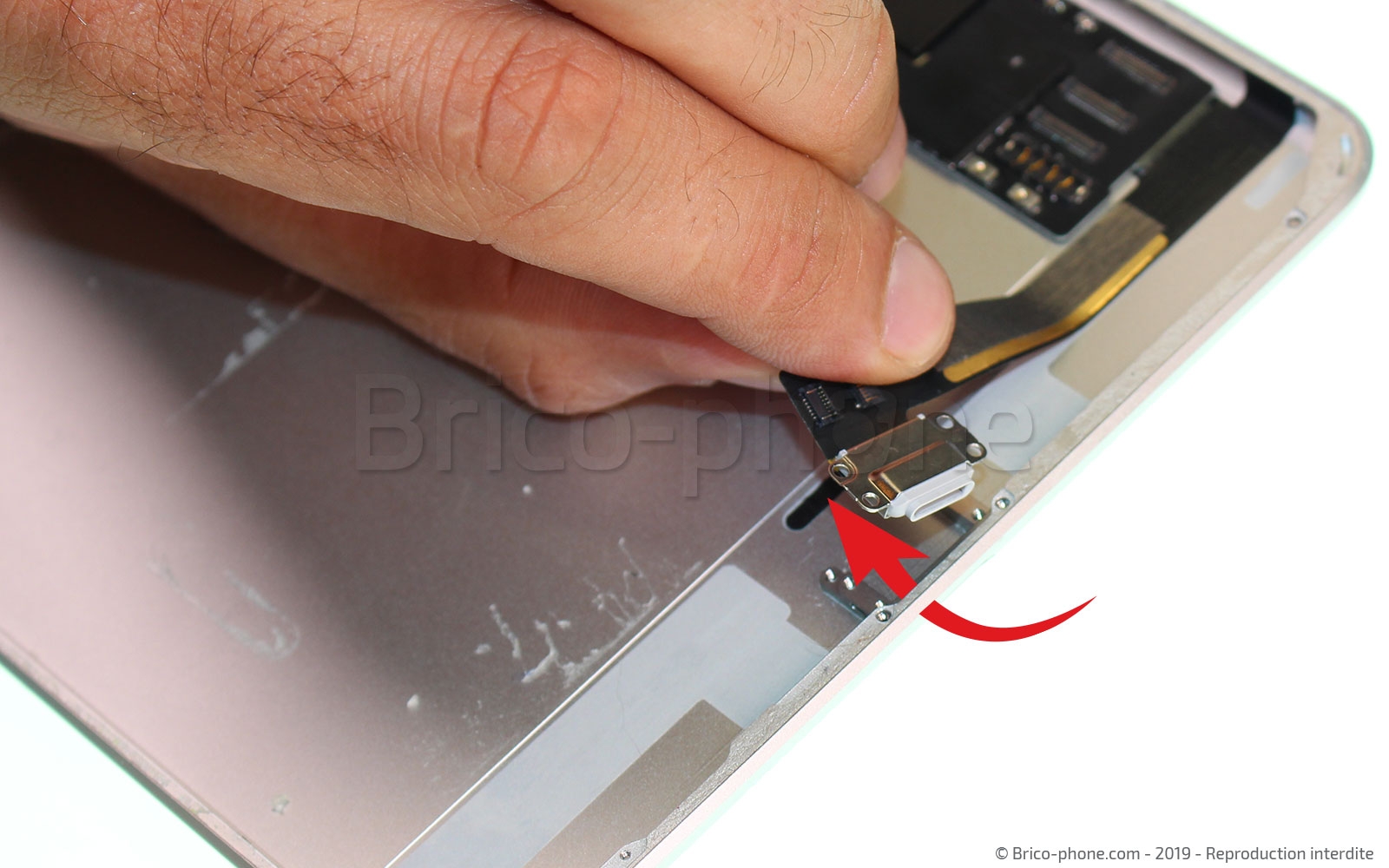 Démontage complet sur iPad Mini 5 photo 3