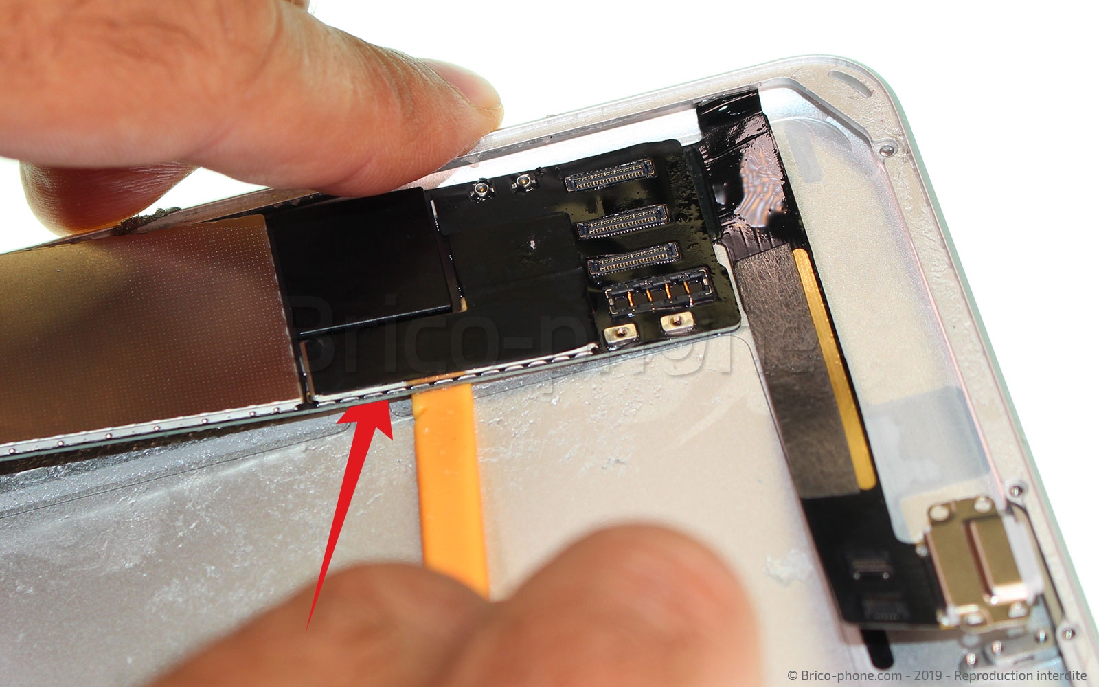 Démontage complet sur iPad Mini 5 photo 3