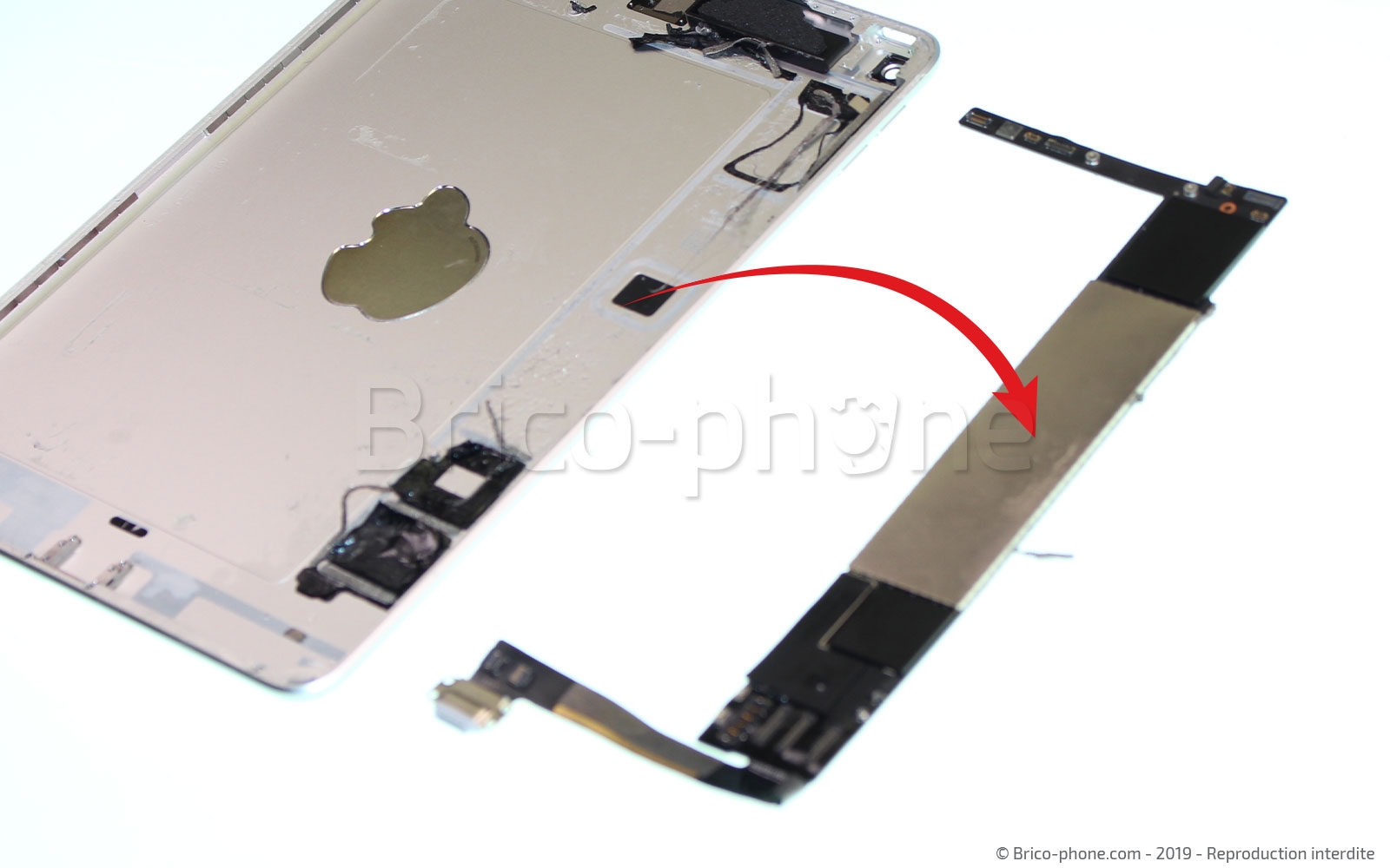 Démontage complet sur iPad Mini 5 photo 4