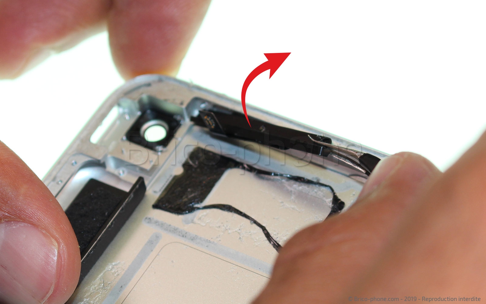 Démontage complet sur iPad Mini 5 photo 2