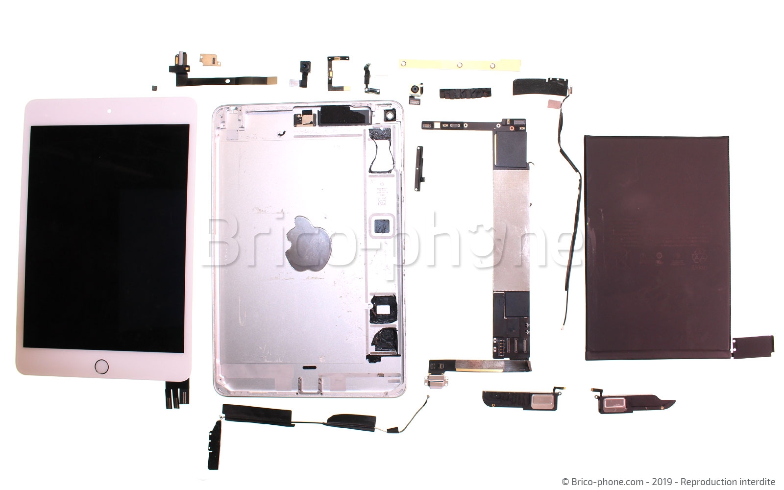 Démontage complet sur iPad Mini 5 photo 1