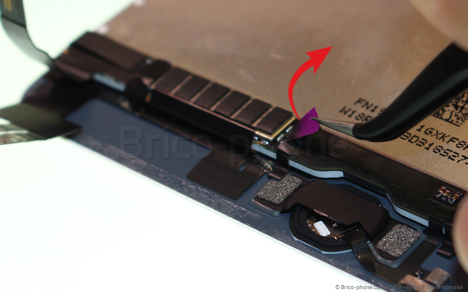 Changement d'écran (vitre+LCD) sur iPad Mini 5 photo 1