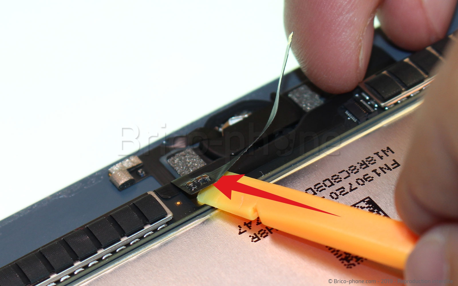 Changement d'écran (vitre+LCD) sur iPad Mini 5 photo 1