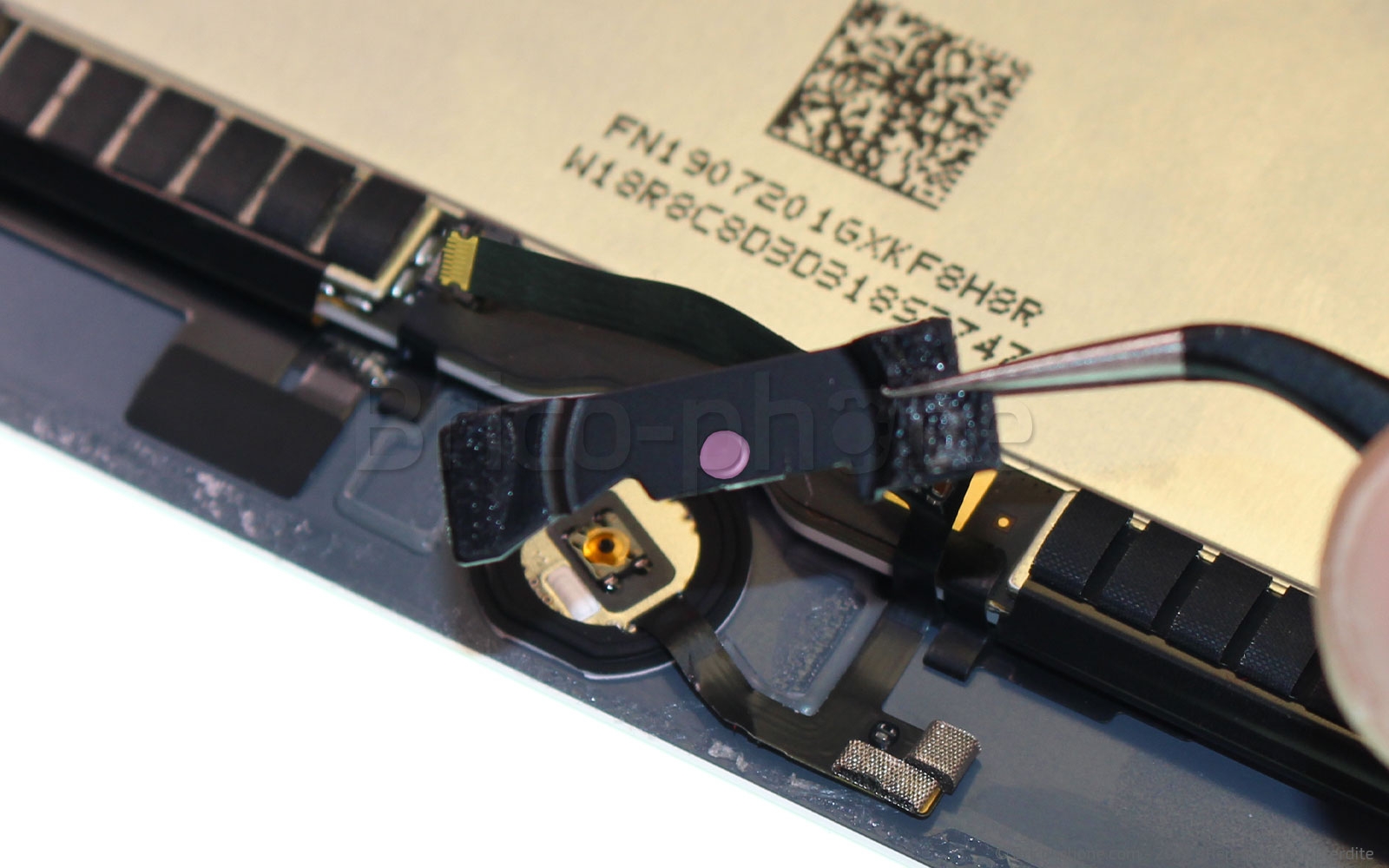 Changement d'écran (vitre+LCD) sur iPad Mini 5 photo 3