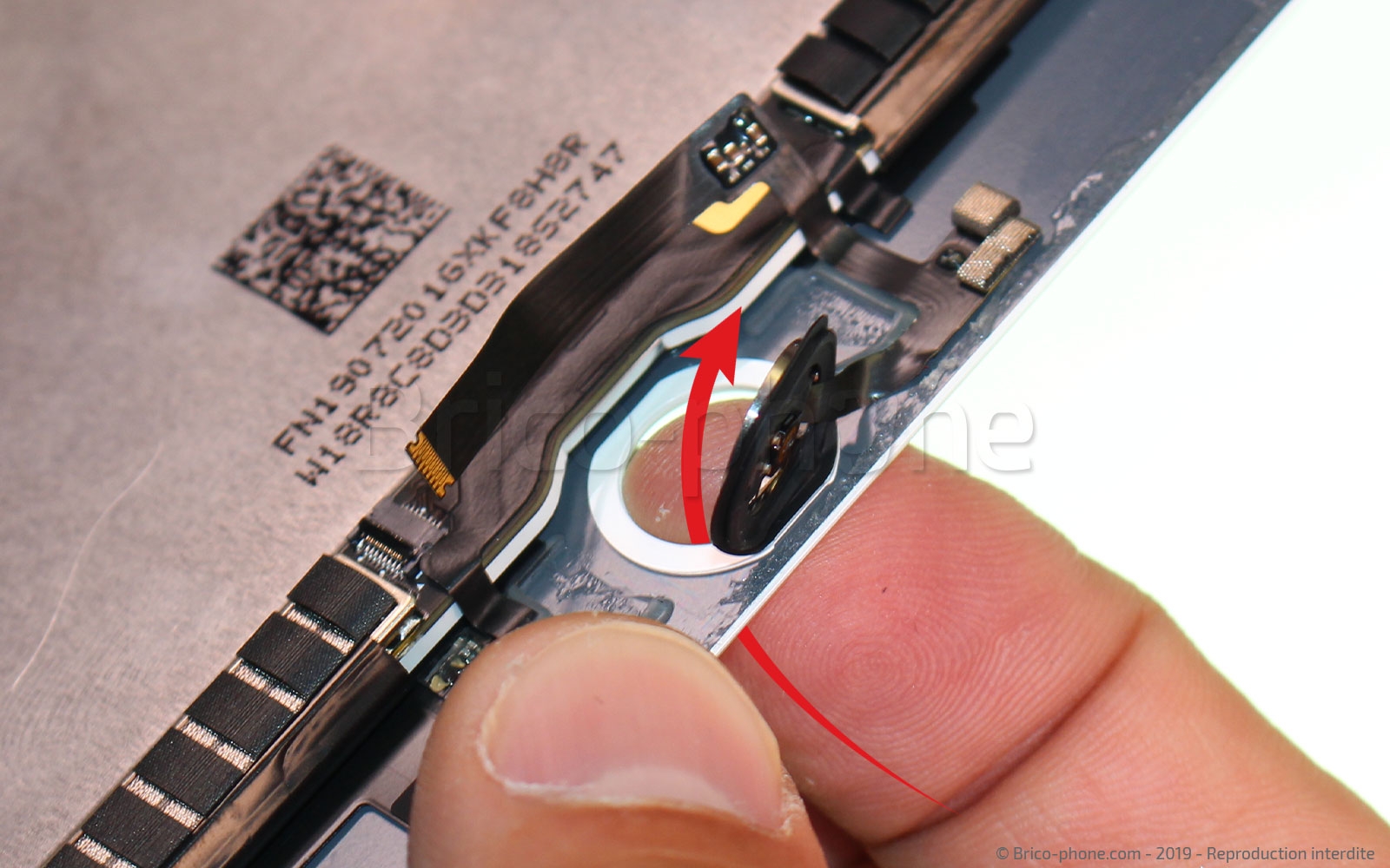 Changement d'écran (vitre+LCD) sur iPad Mini 5 photo 1