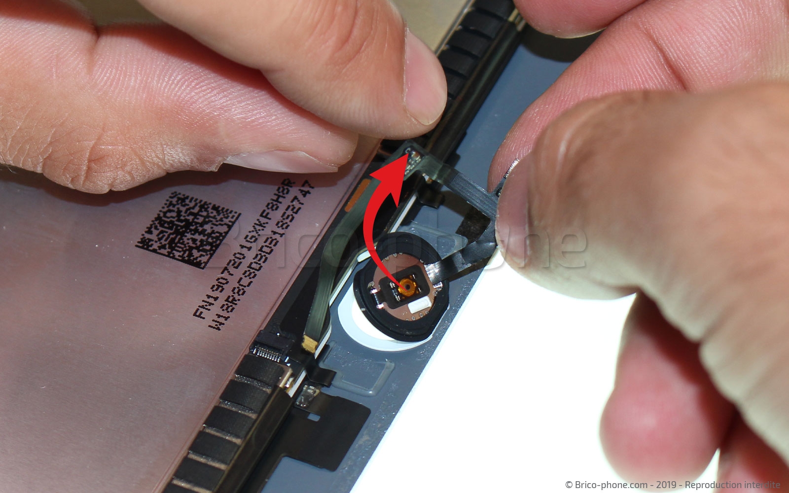 Changement d'écran (vitre+LCD) sur iPad Mini 5 photo 2