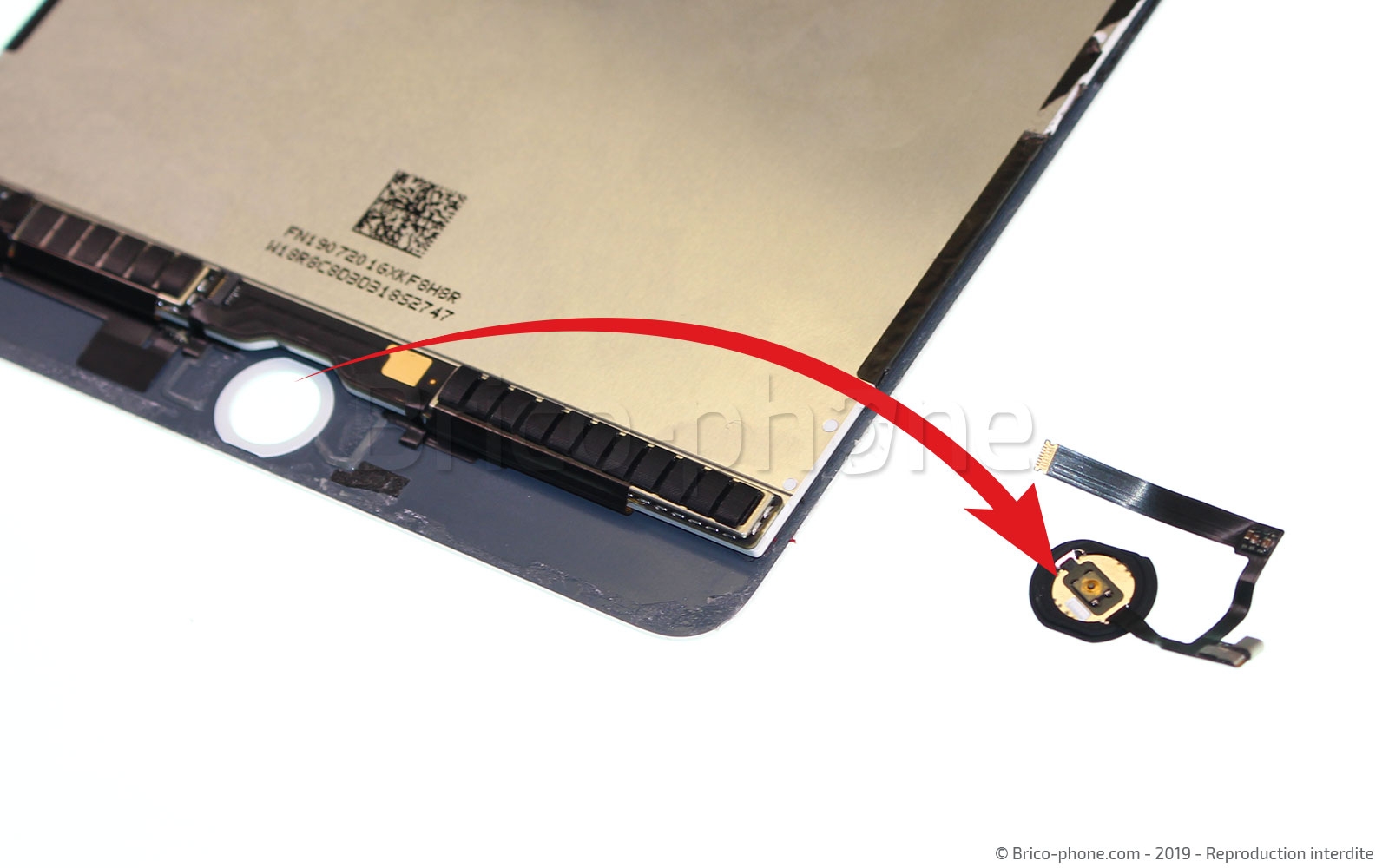 Changement d'écran (vitre+LCD) sur iPad Mini 5 photo 3