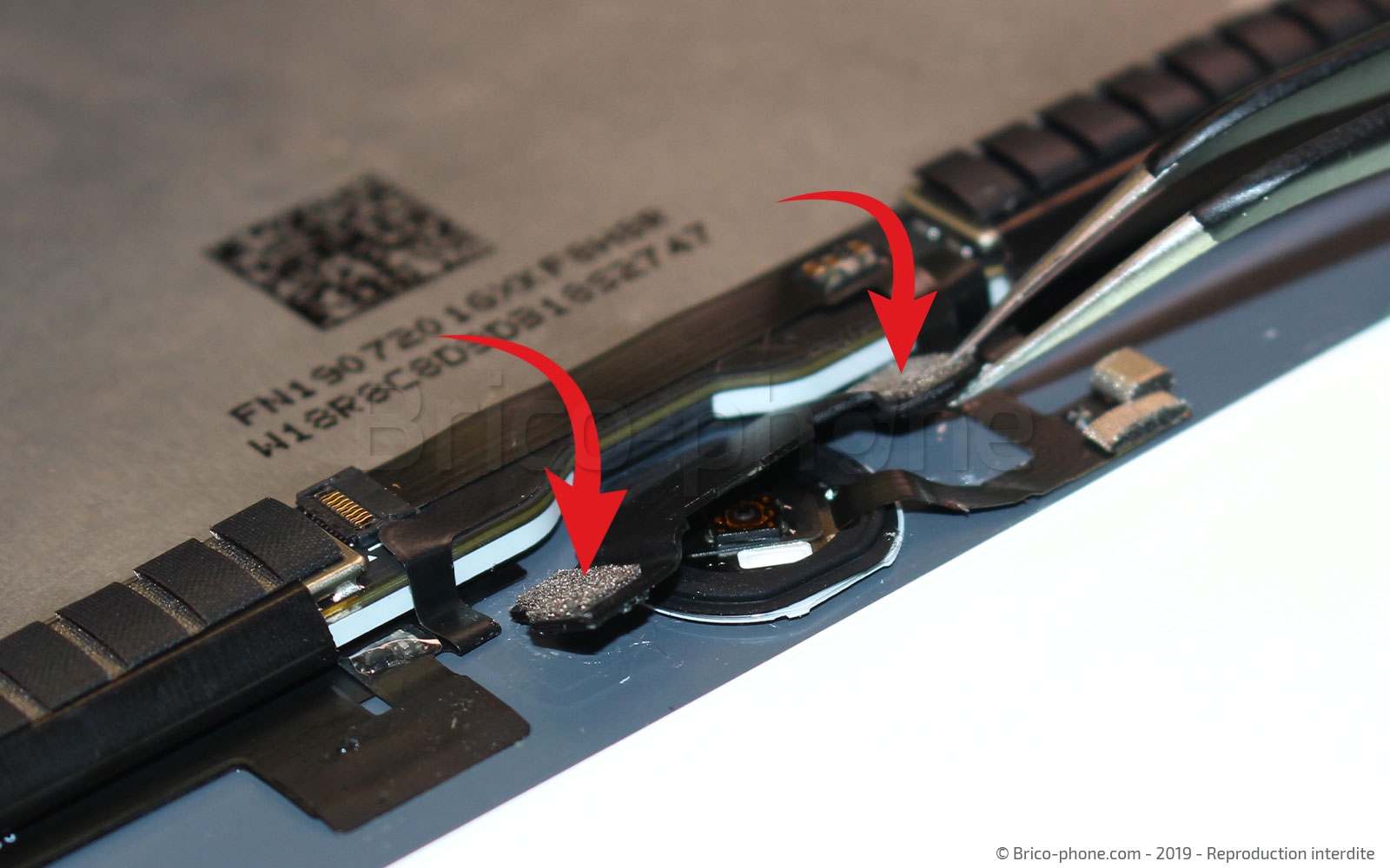 Changement d'écran (vitre+LCD) sur iPad Mini 5 photo 1