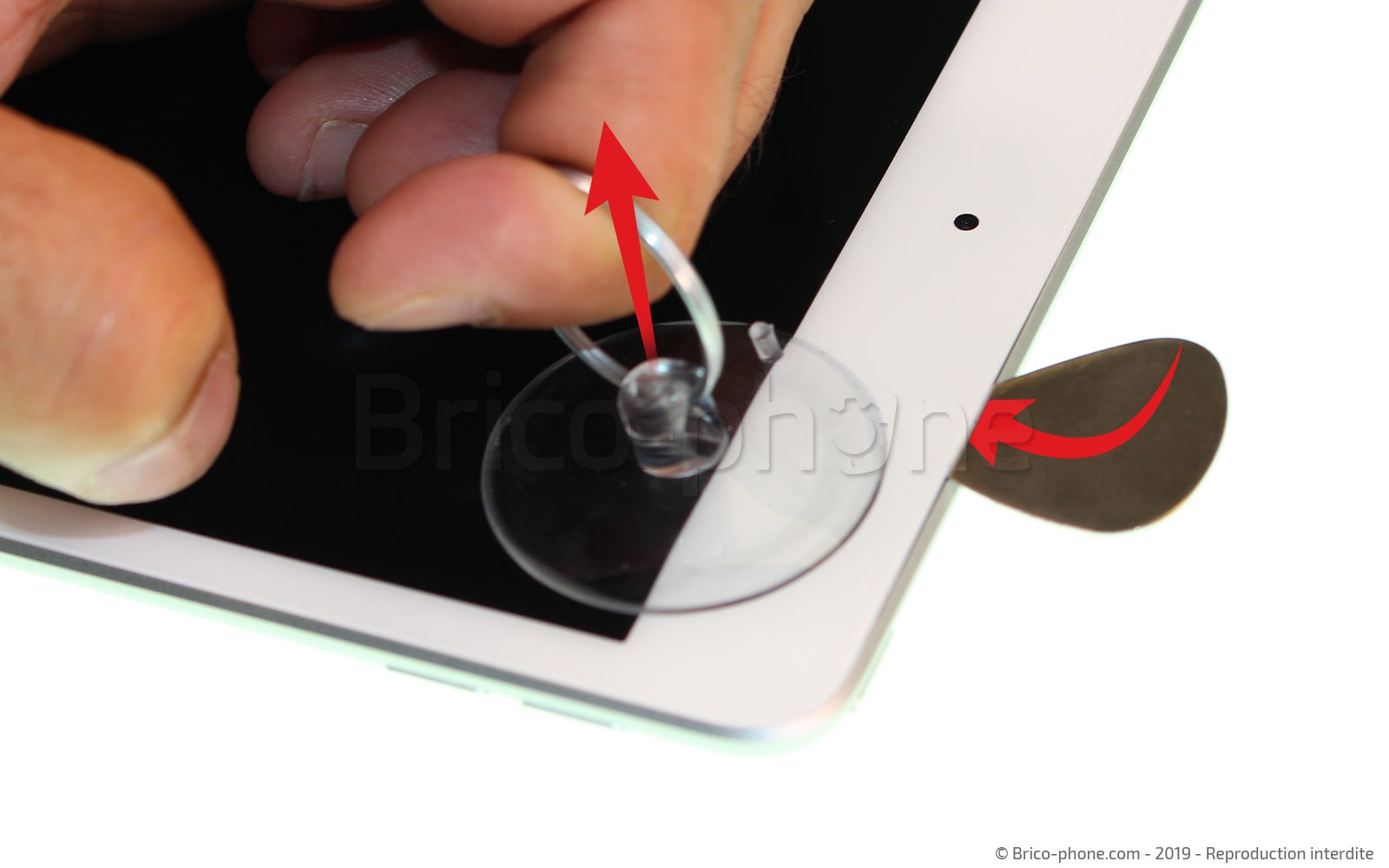 Changement de batterie sur iPad Mini 5 photo 2