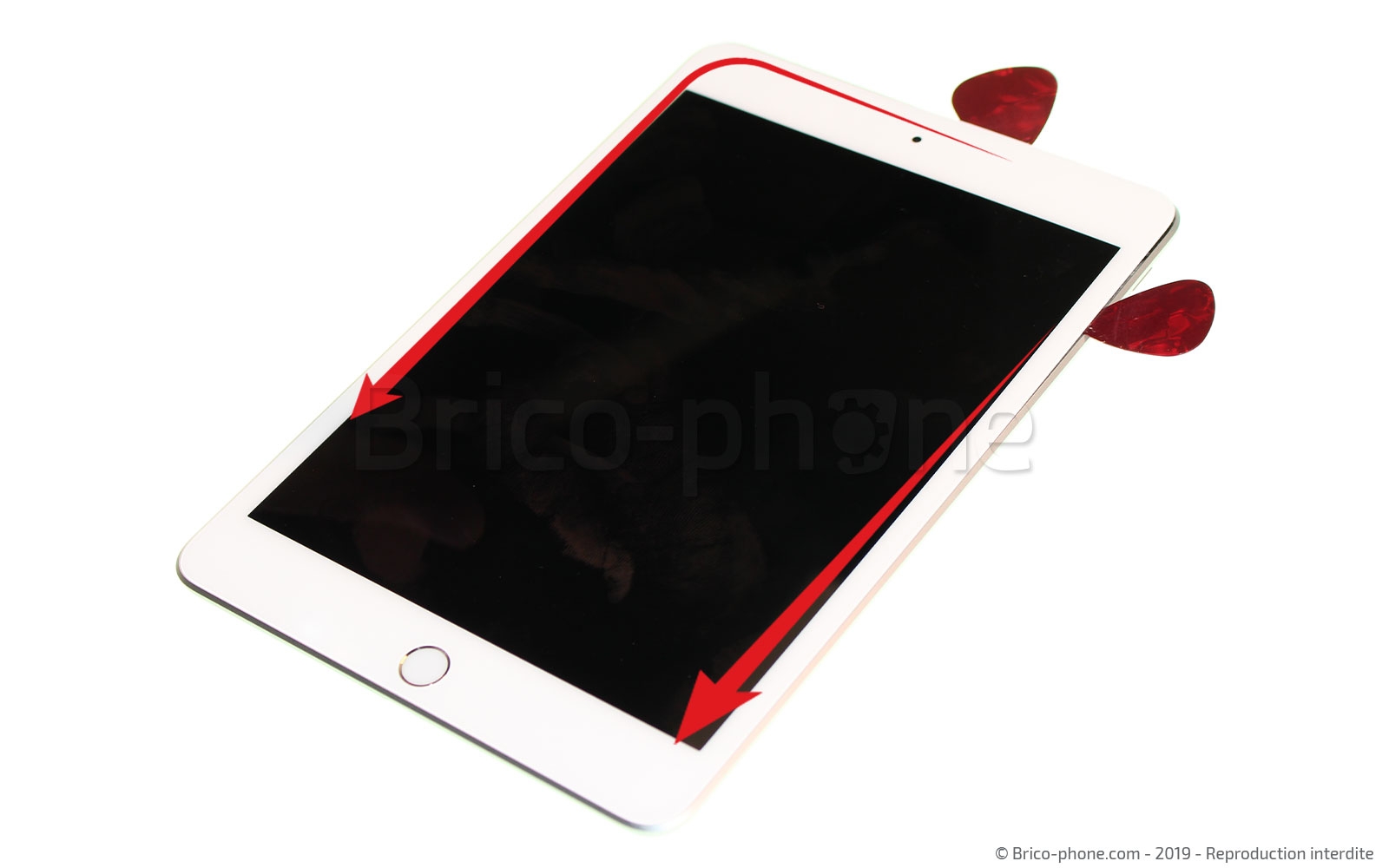 Changement de batterie sur iPad Mini 5 photo 1