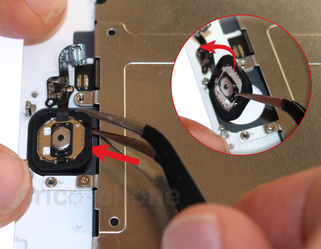 Changement de nappe bouton Home sur iPhone 6 Plus photo 1