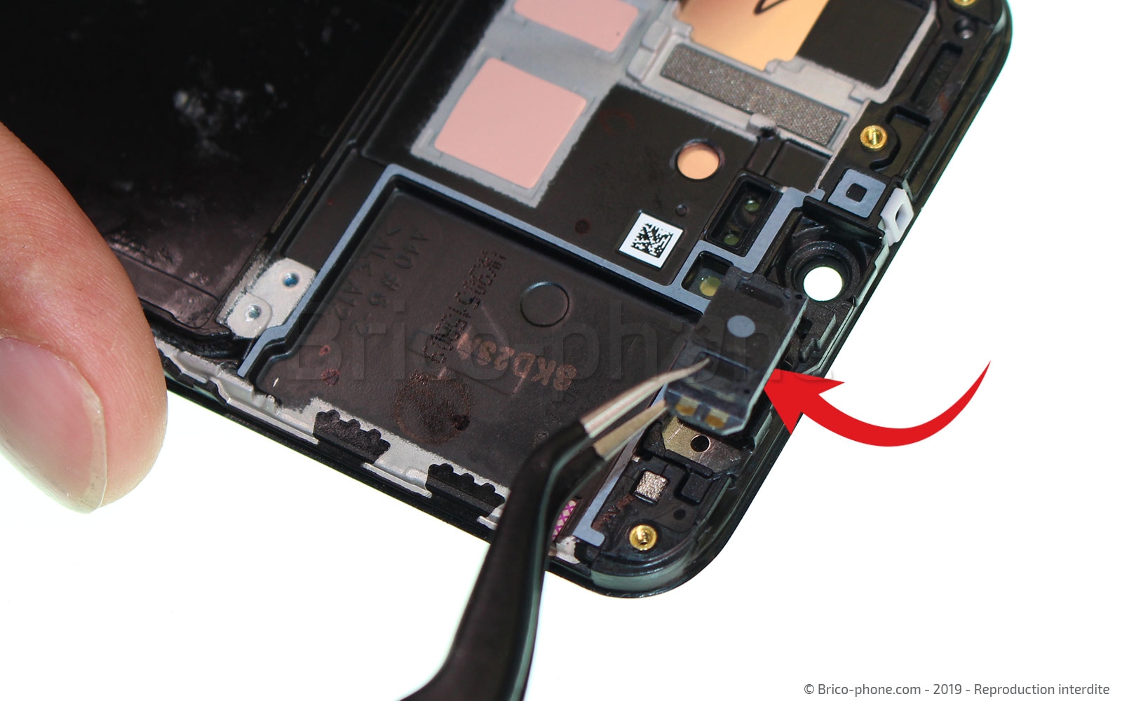 Démontage complet sur Galaxy A40 photo 1