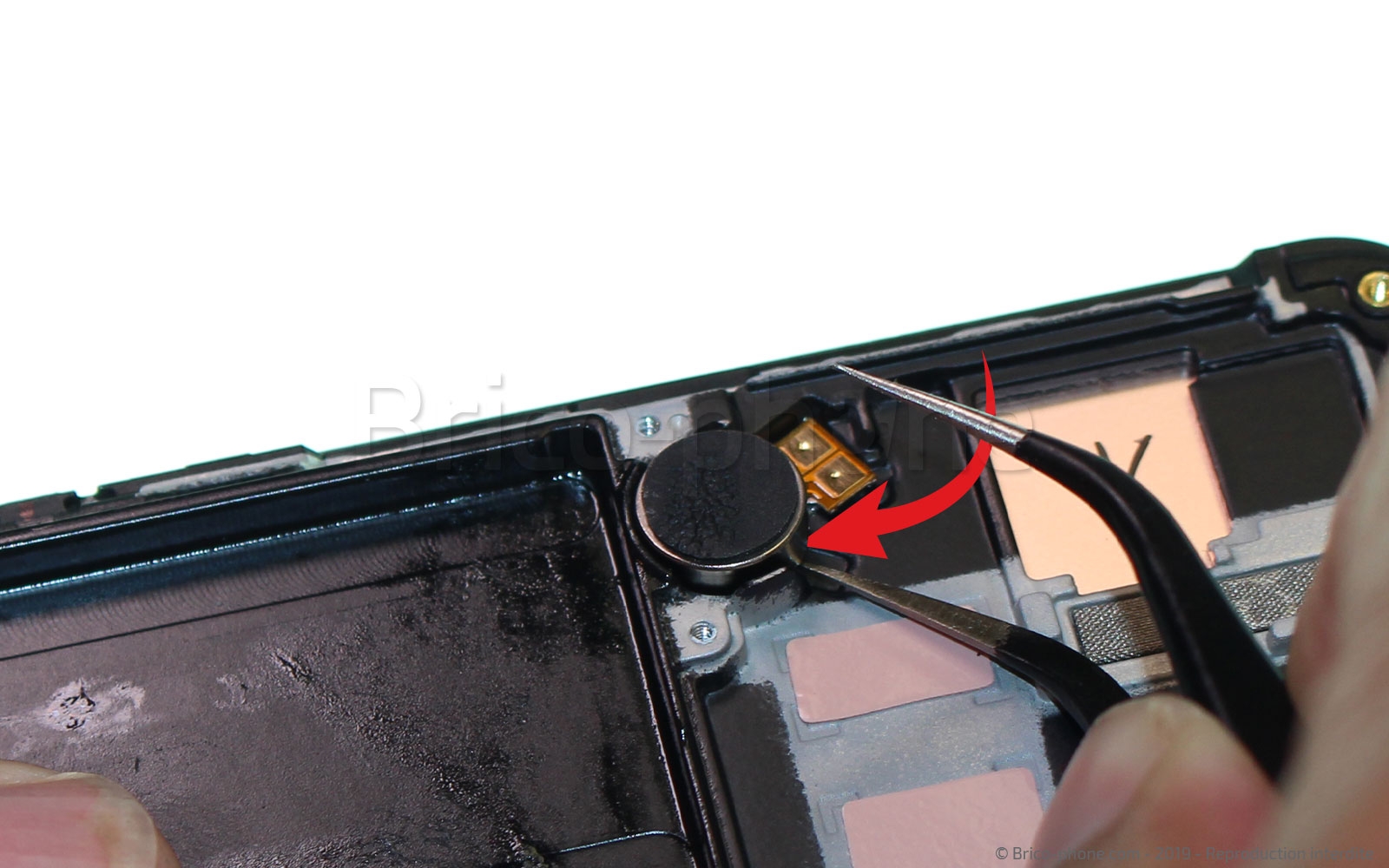 Démontage complet sur Galaxy A40 photo 1