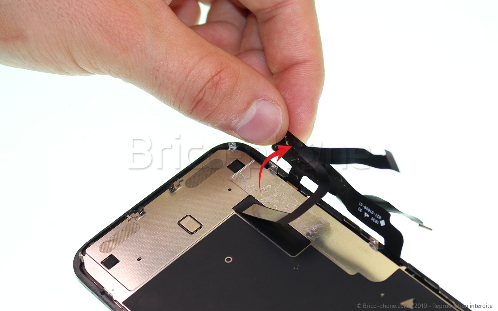 Changement de l'écran (vitre + LCD) sur iPhone XR photo 4
