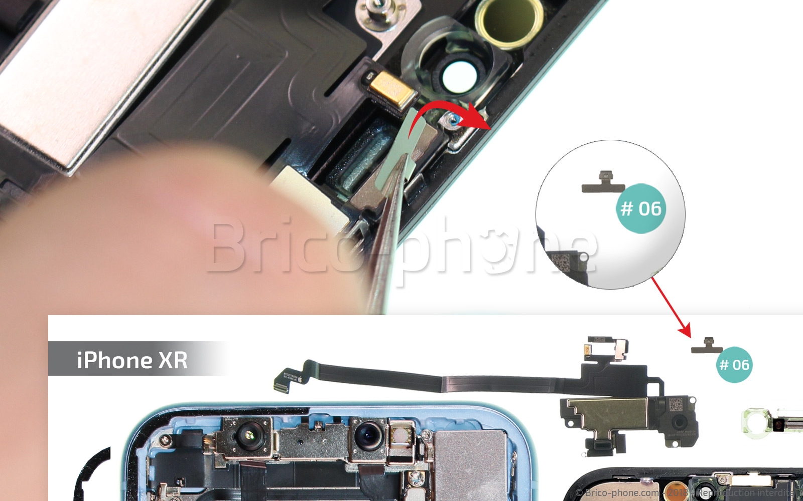 Changement de l'écran (vitre + LCD) sur iPhone XR photo 1