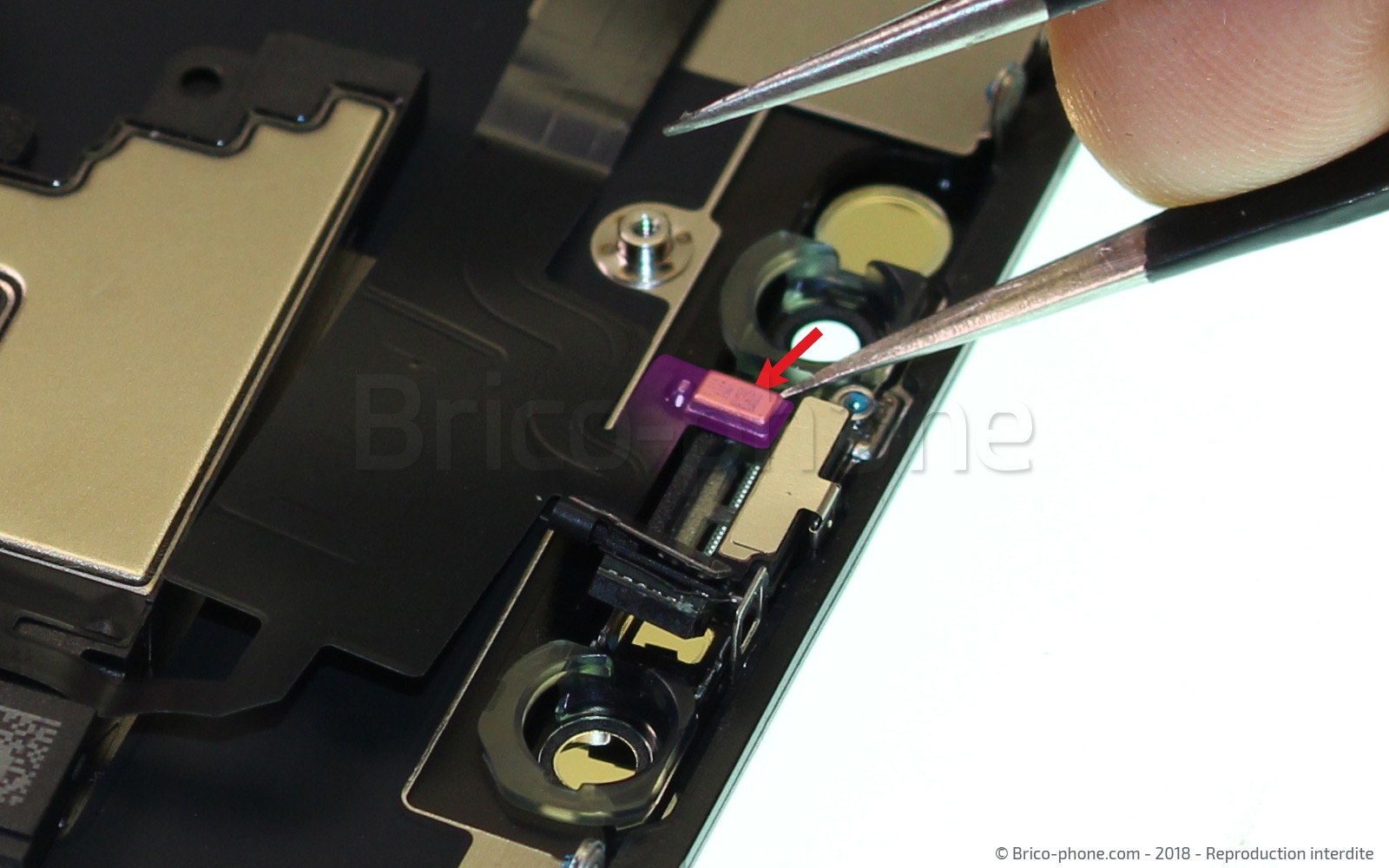 Changement de l'écran (vitre + LCD) sur iPhone XR photo 2