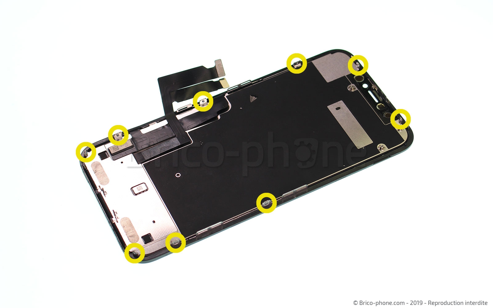 Changement de l'écran (vitre + LCD) sur iPhone XR photo 1