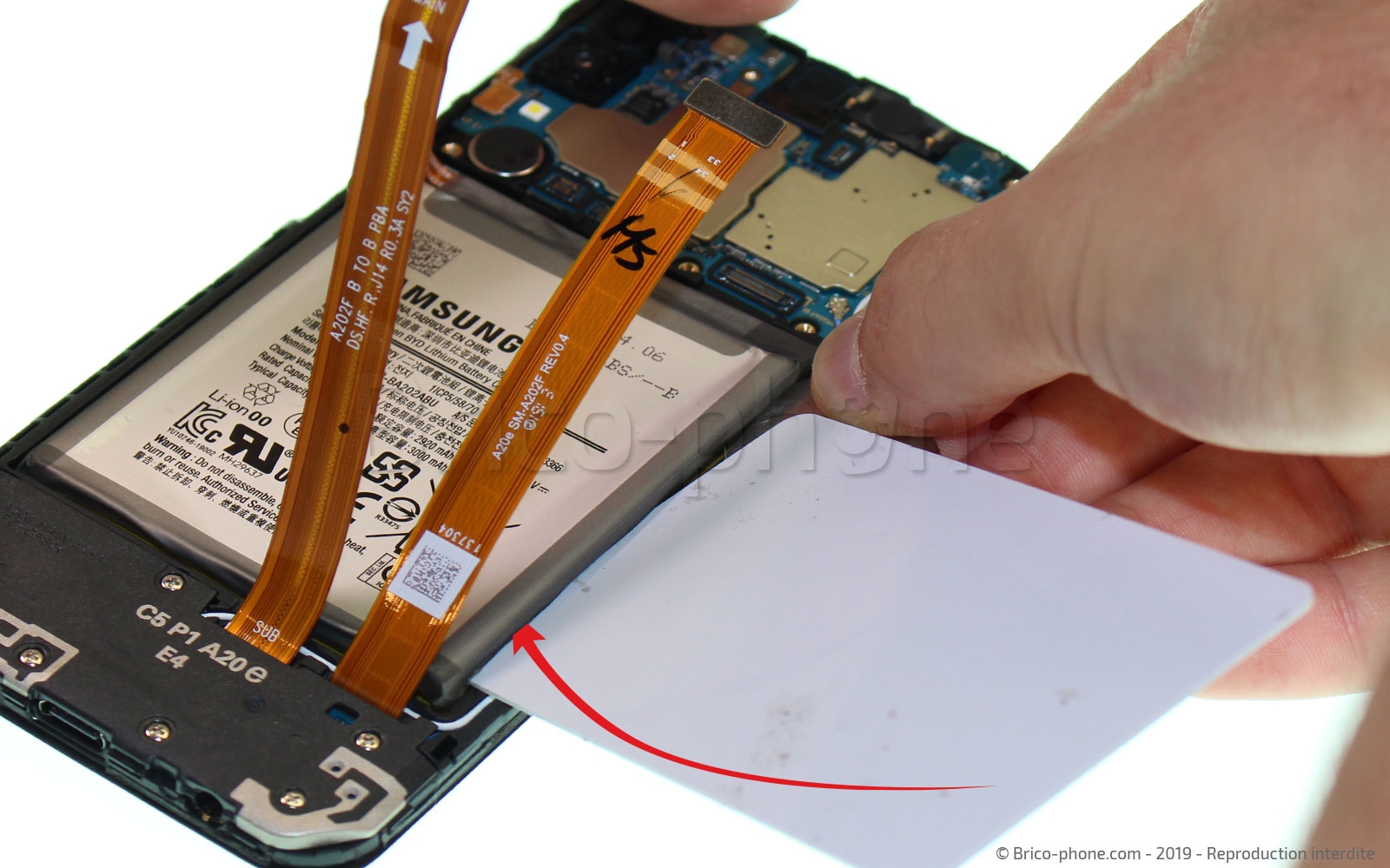 Démontage complet sur Galaxy A20e photo 2