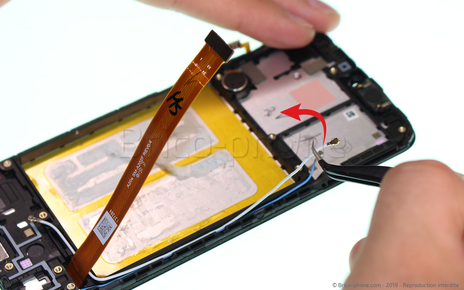 Démontage complet sur Galaxy A20e photo 1