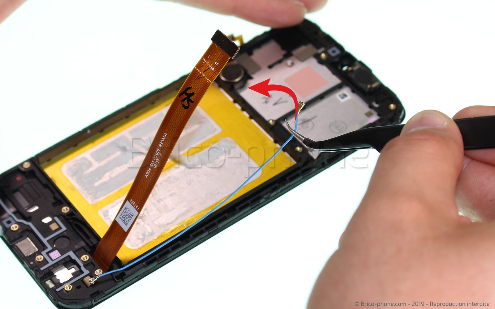 Démontage complet sur Galaxy A20e photo 2