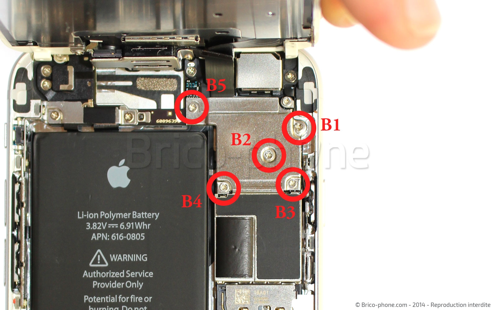 Changement d'écran (vitre+LCD) sans éléments prémontés sur iPhone 6 photo 1