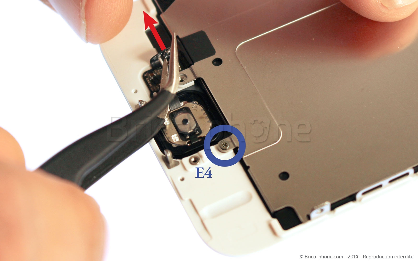 Changement d'écran (vitre+LCD) sans éléments prémontés sur iPhone 6 photo 3