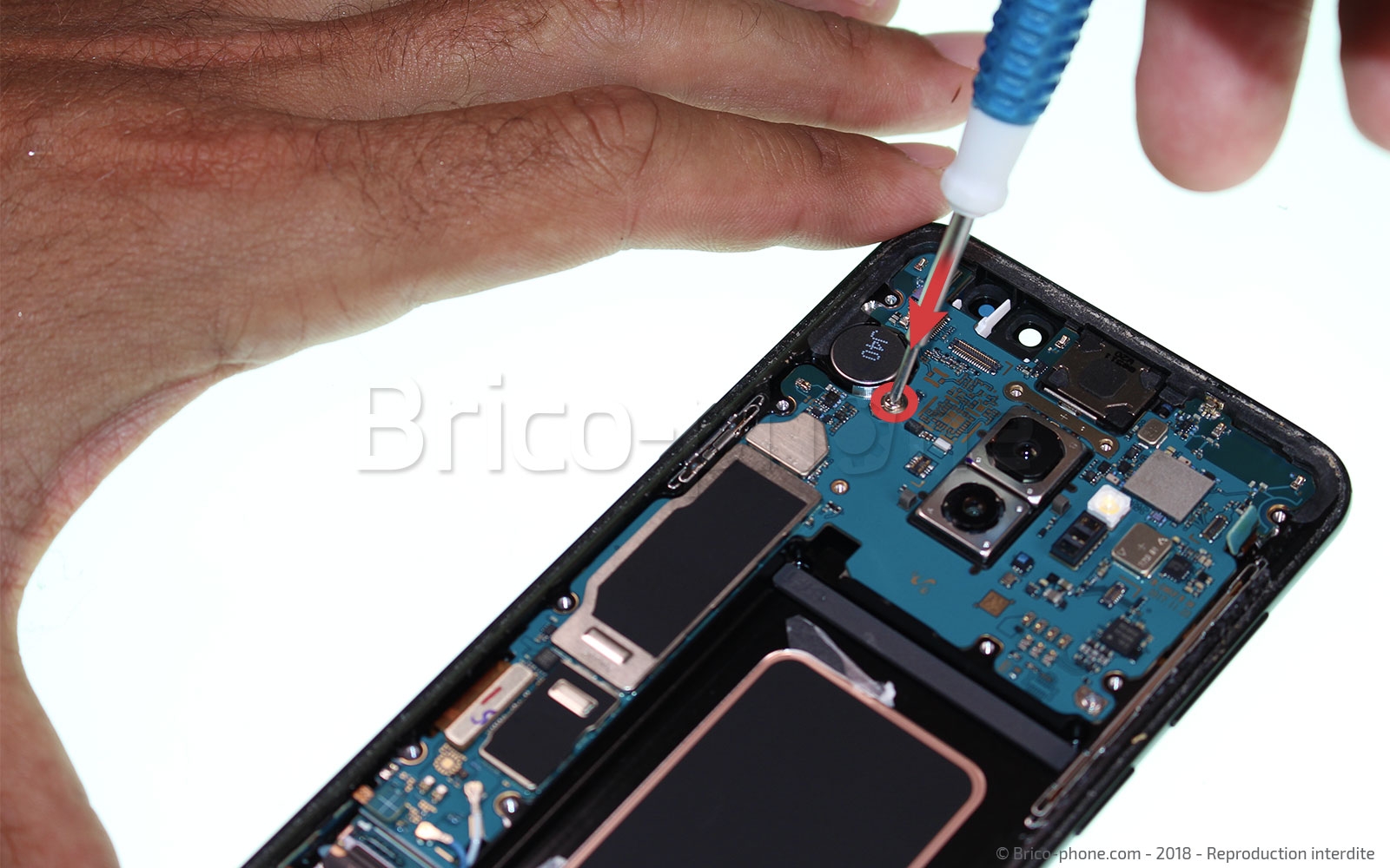 Changement du connecteur de charge sur Galaxy S9 Plus photo 1