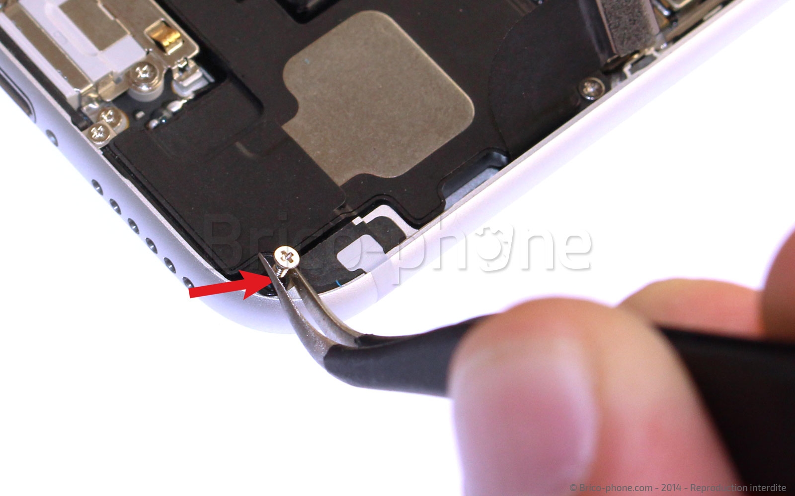 Changement du connecteur de charge sur iPhone 6 photo 2