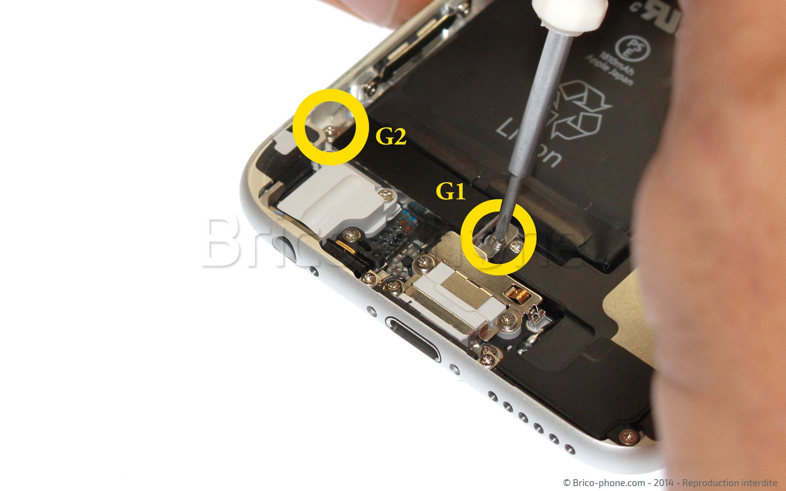 Changement du connecteur de charge sur iPhone 6 photo 1
