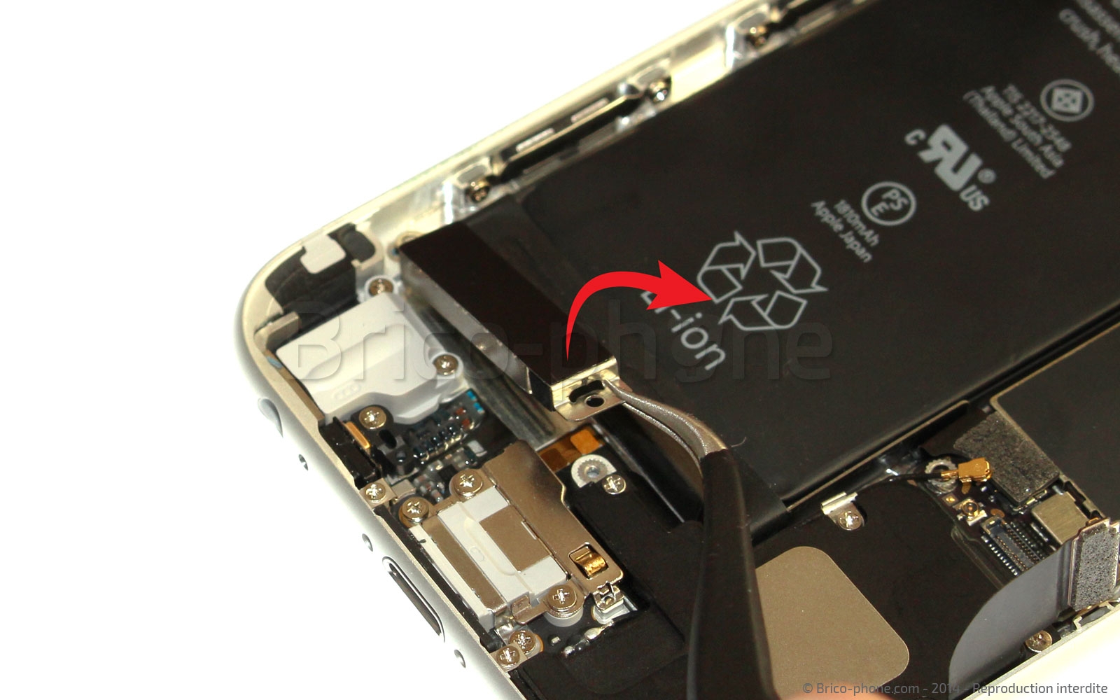 Changement du connecteur de charge sur iPhone 6 photo 2