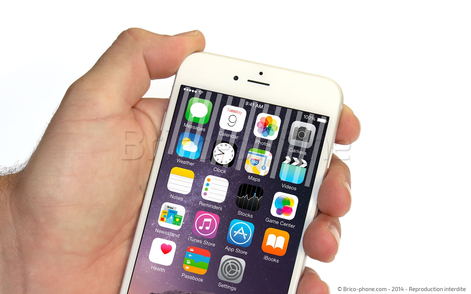 Changement du connecteur de charge sur iPhone 6 photo 1