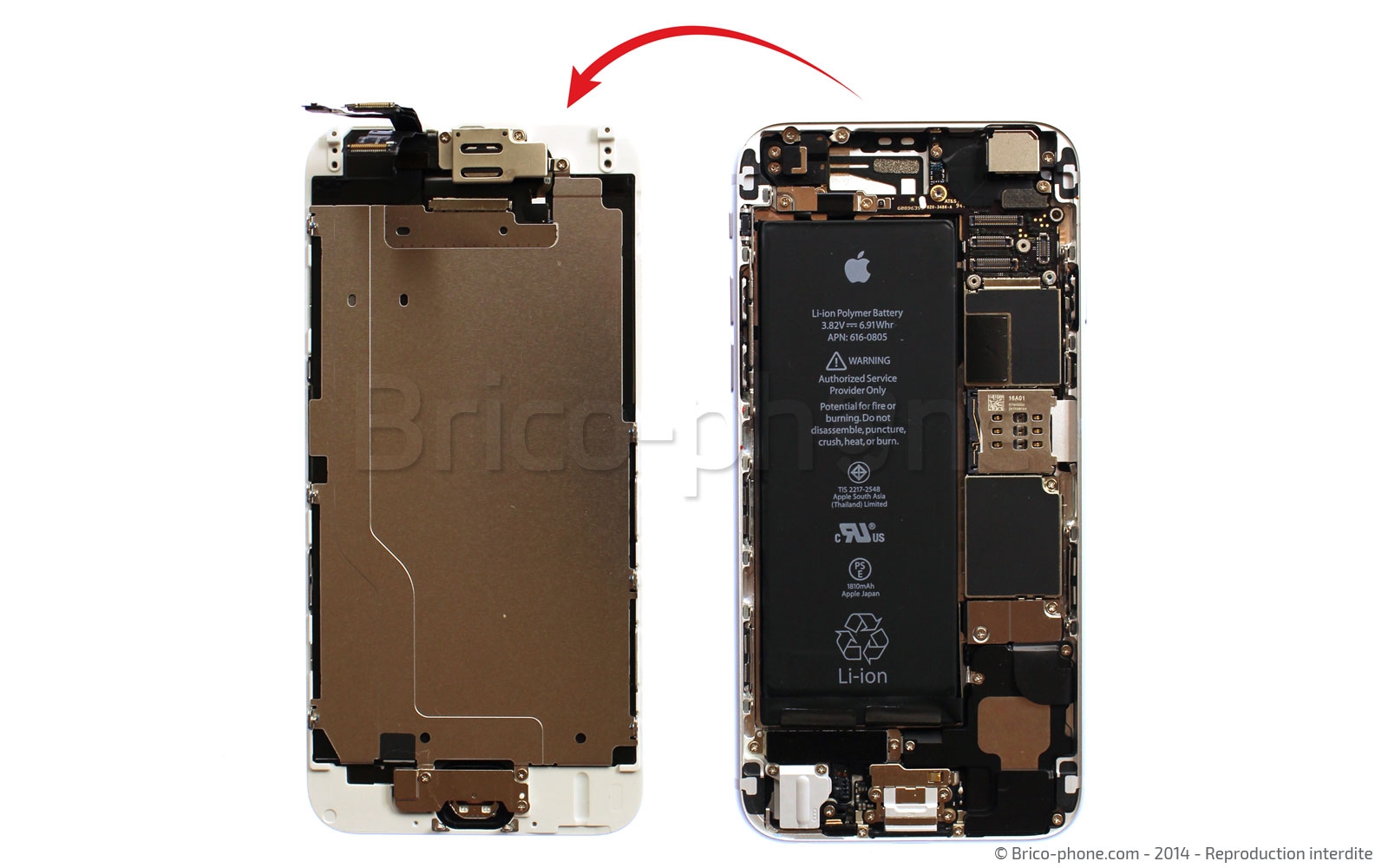 Changement du haut-parleur interne sur iPhone 6 photo 3