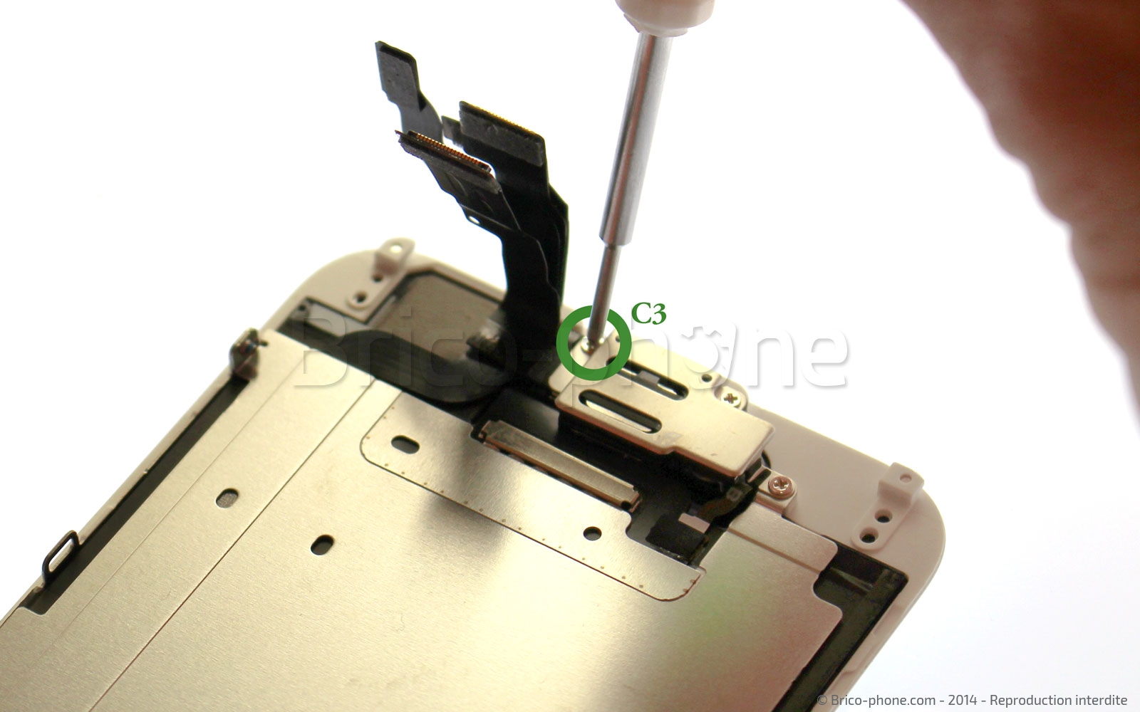Changement du haut-parleur interne sur iPhone 6 photo 2