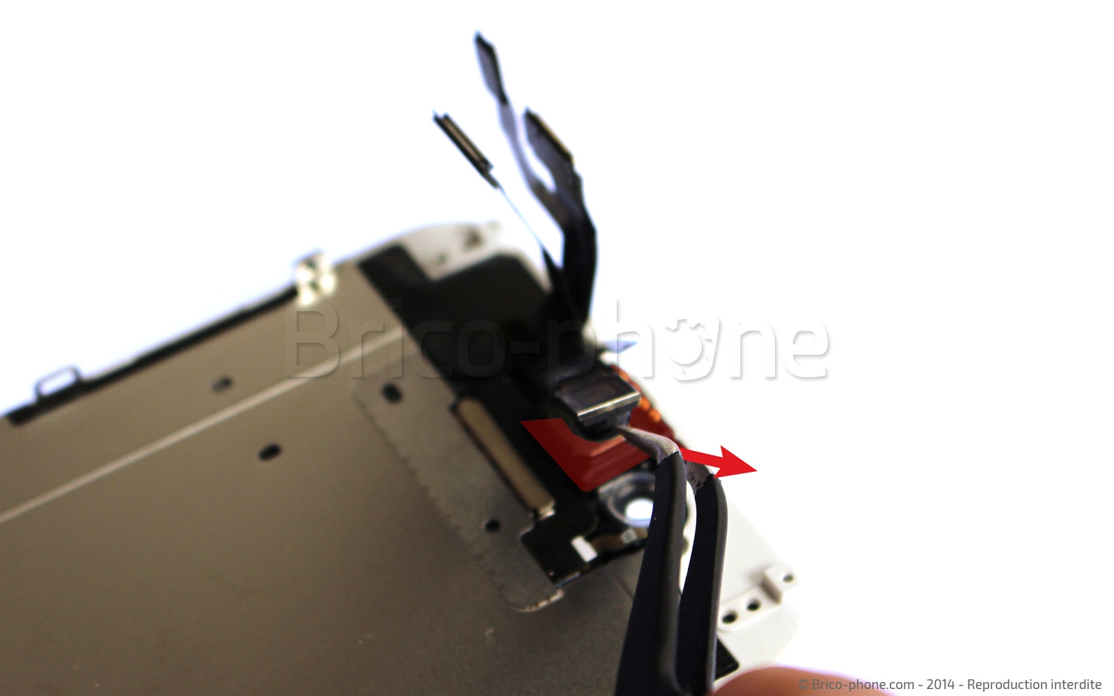 Changement du haut-parleur interne sur iPhone 6 photo 1