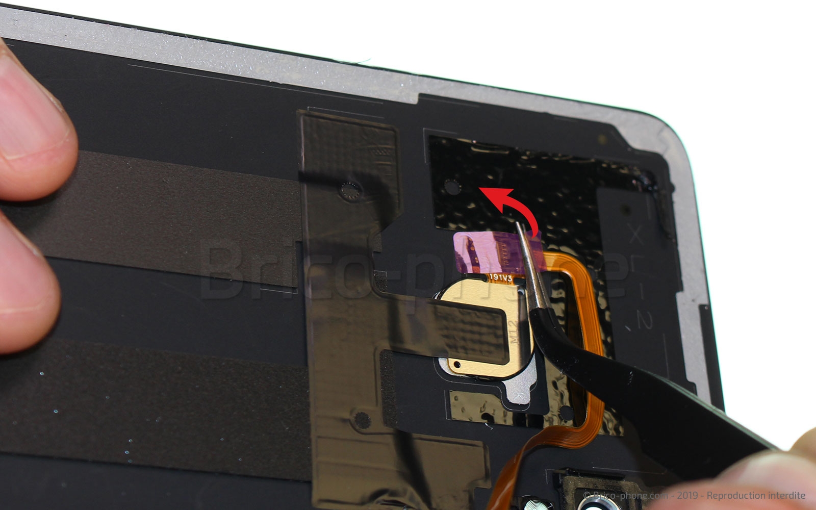 Changement de coque arrière sur Honor 10 Lite photo 1