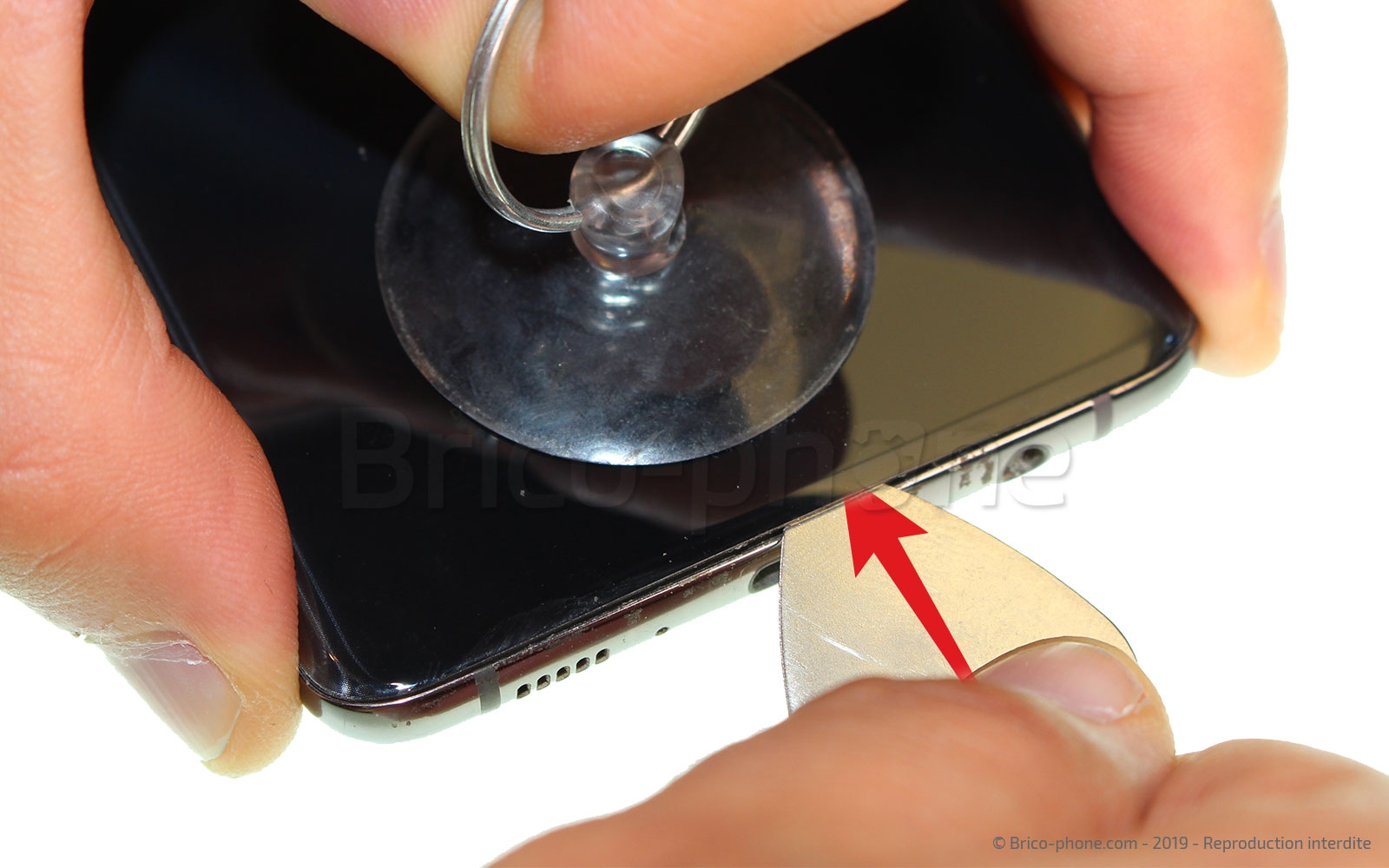 Démontage complet sur Galaxy S10 Plus photo 1